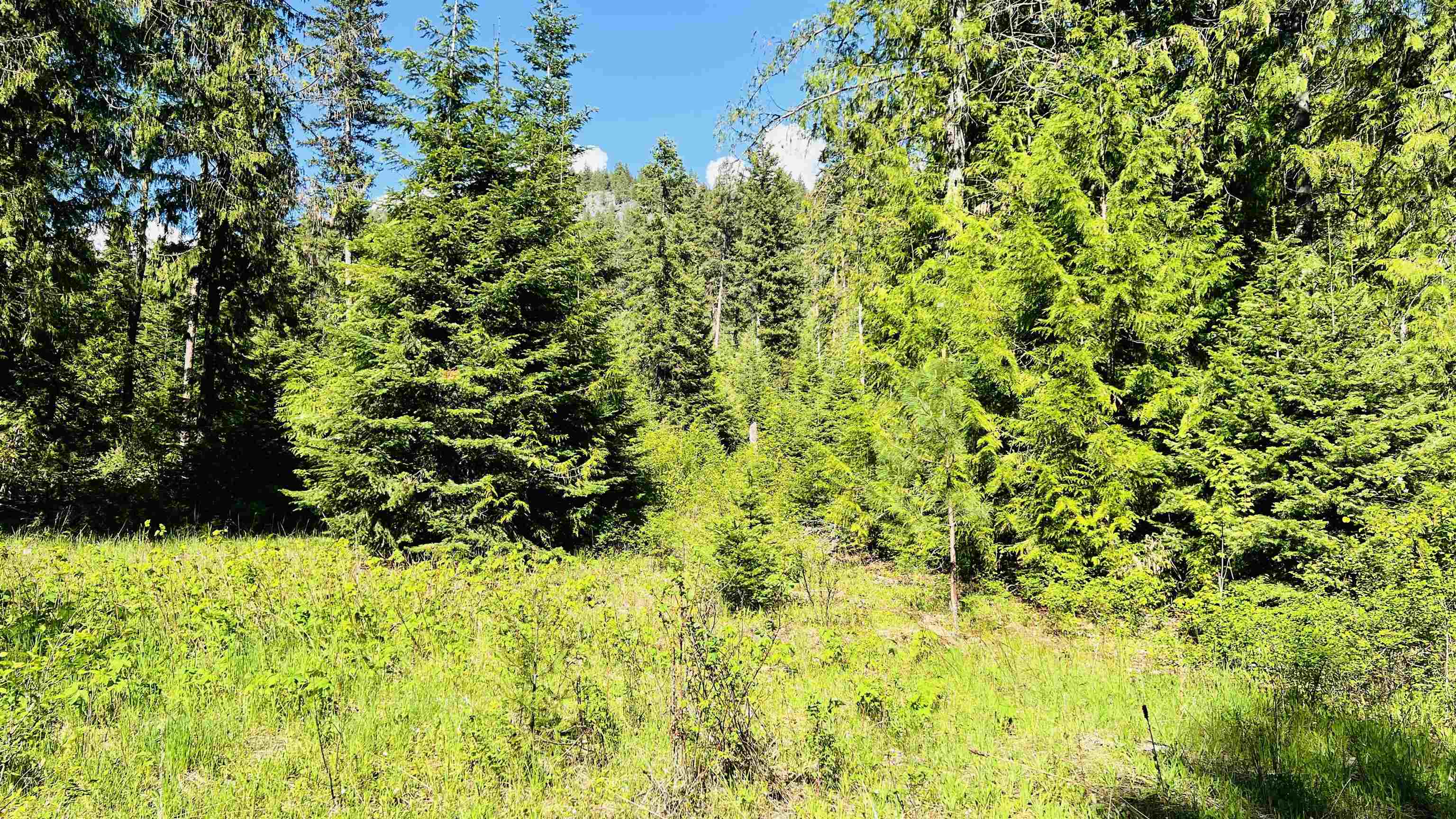 Nka Nka Phalon Lake Road Evans, WA 99126 - Photo 12 of 50