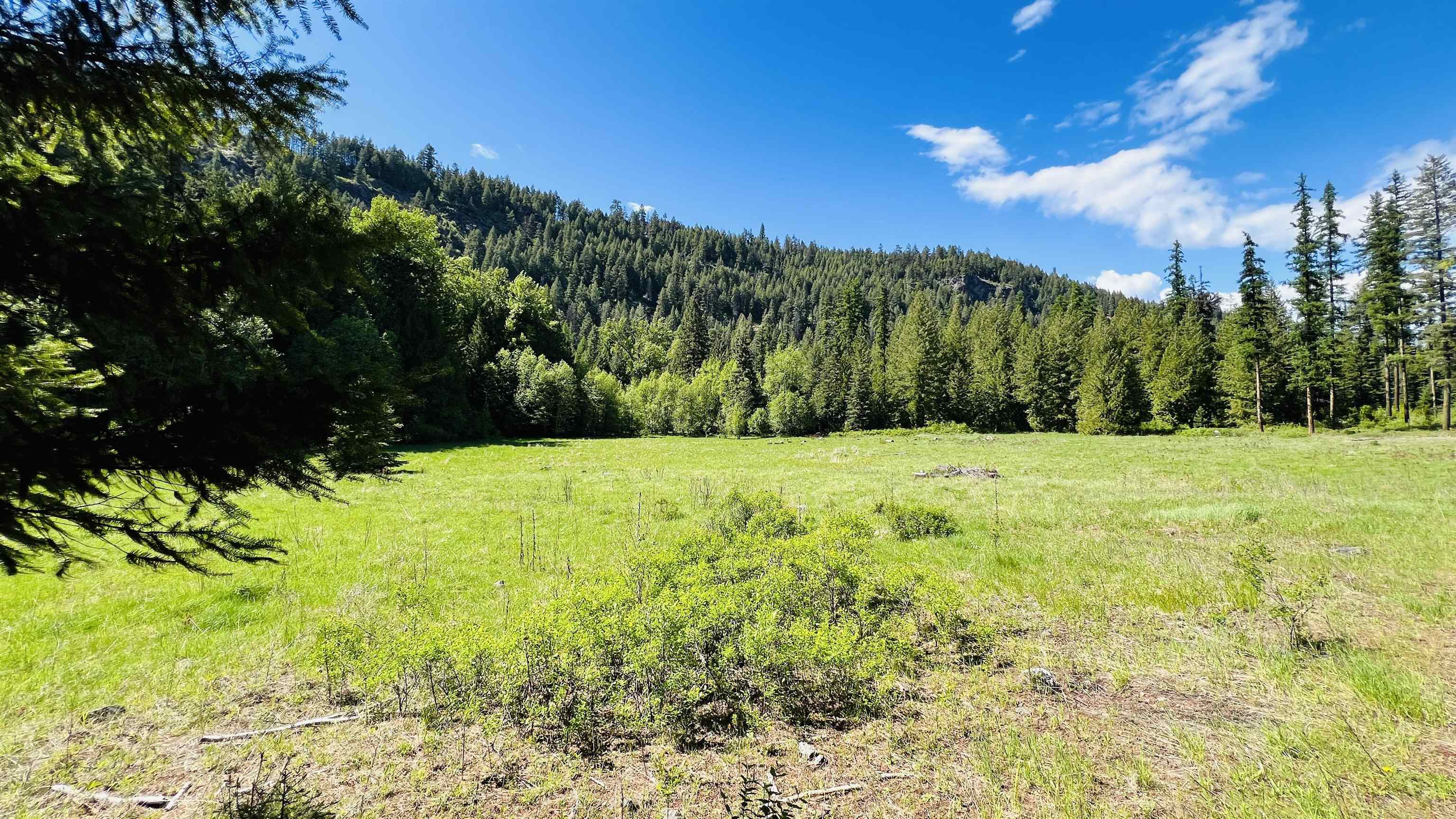 Nka Nka Phalon Lake Road Evans, WA 99126 - Photo 13 of 50