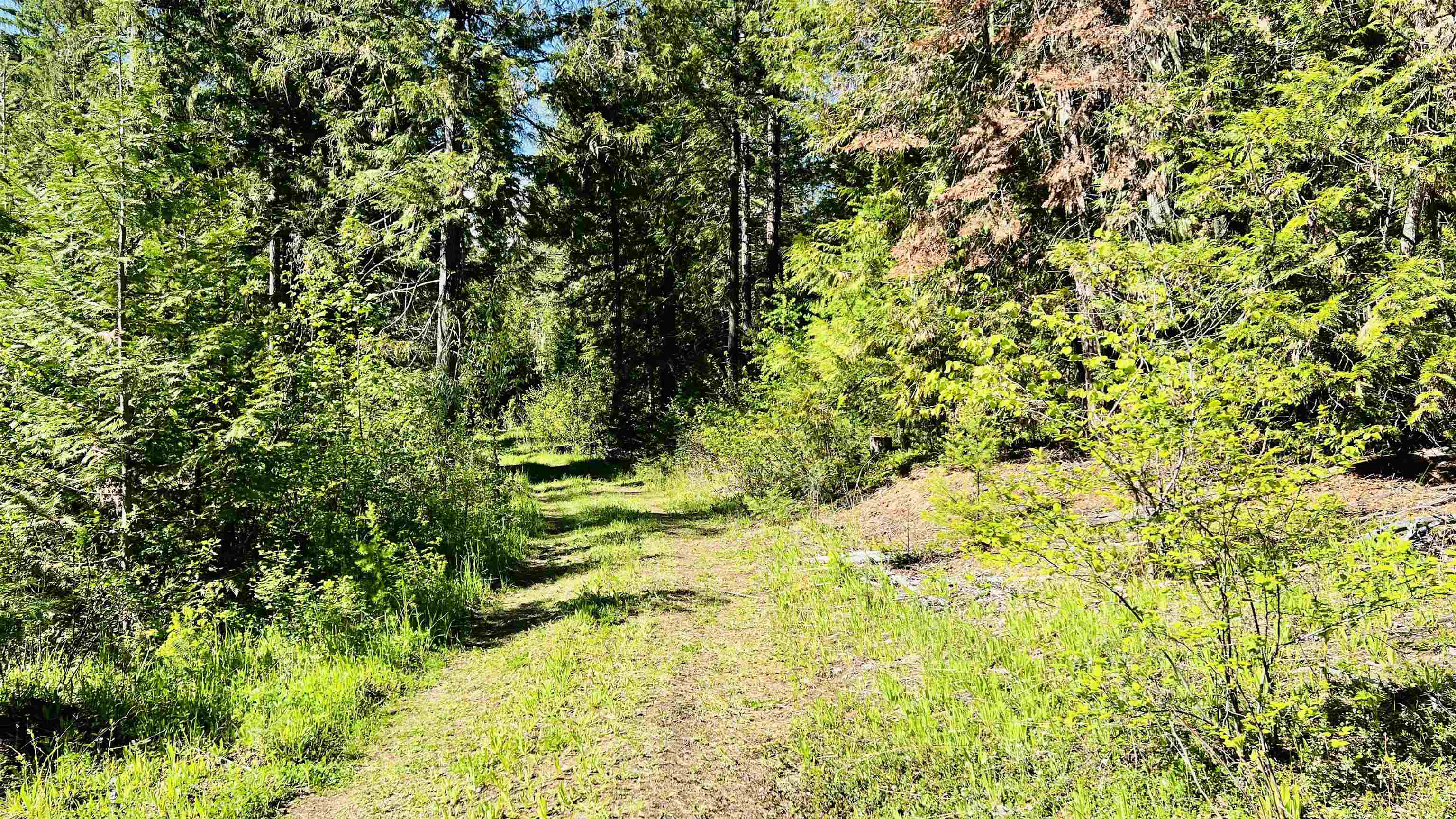 Nka Nka Phalon Lake Road Evans, WA 99126 - Photo 14 of 50