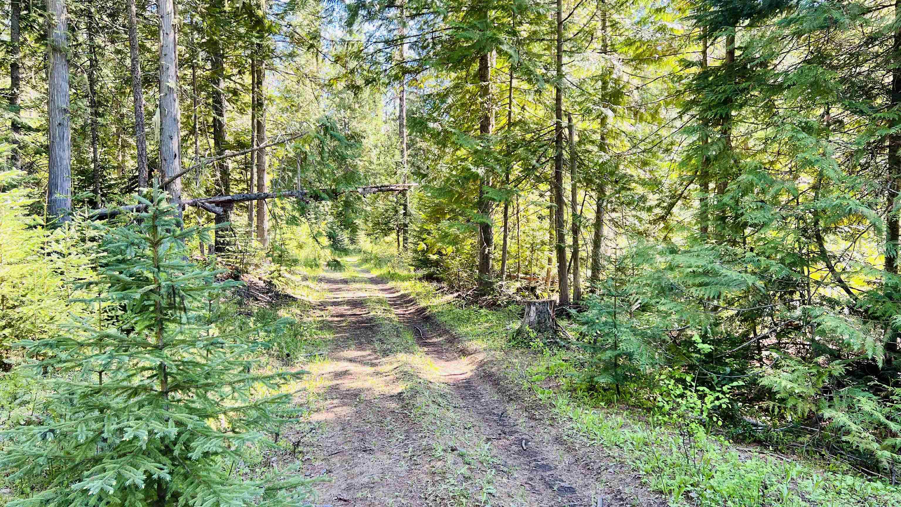 Nka Nka Phalon Lake Road Evans, WA 99126 - Photo 15 of 50