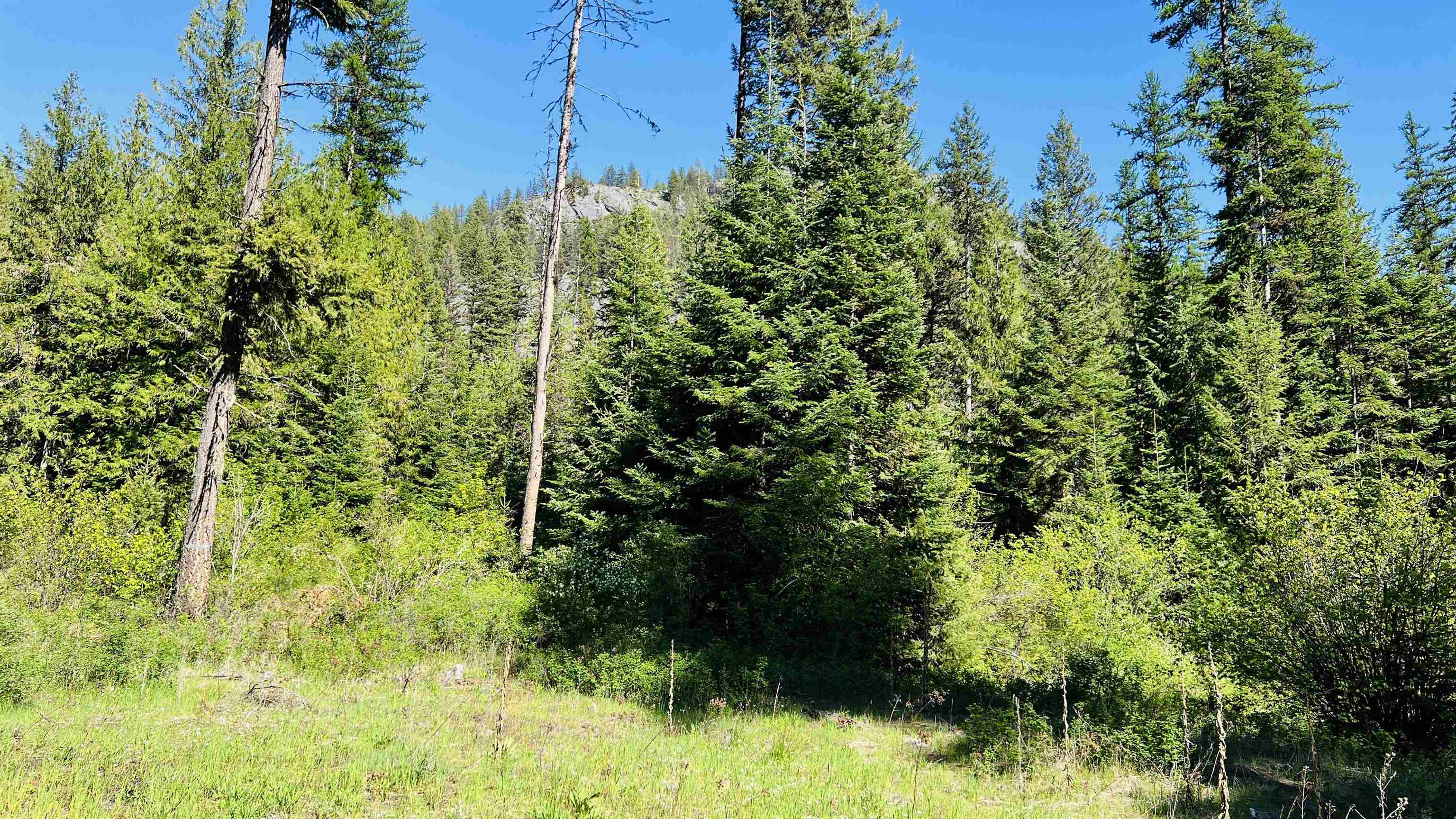 Nka Nka Phalon Lake Road Evans, WA 99126 - Photo 16 of 50