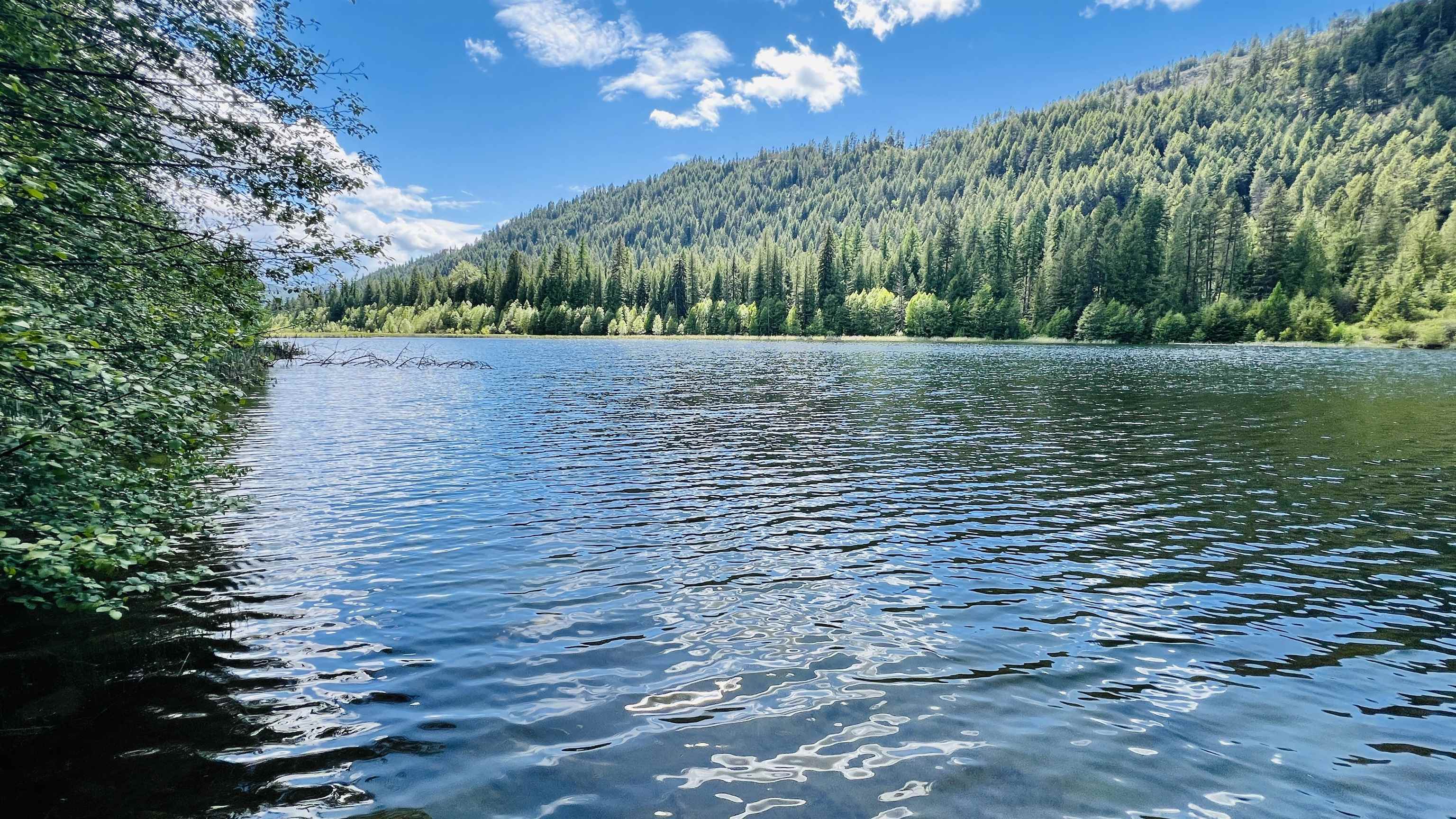 Nka Nka Phalon Lake Road Evans, WA 99126 - Photo 2 of 50