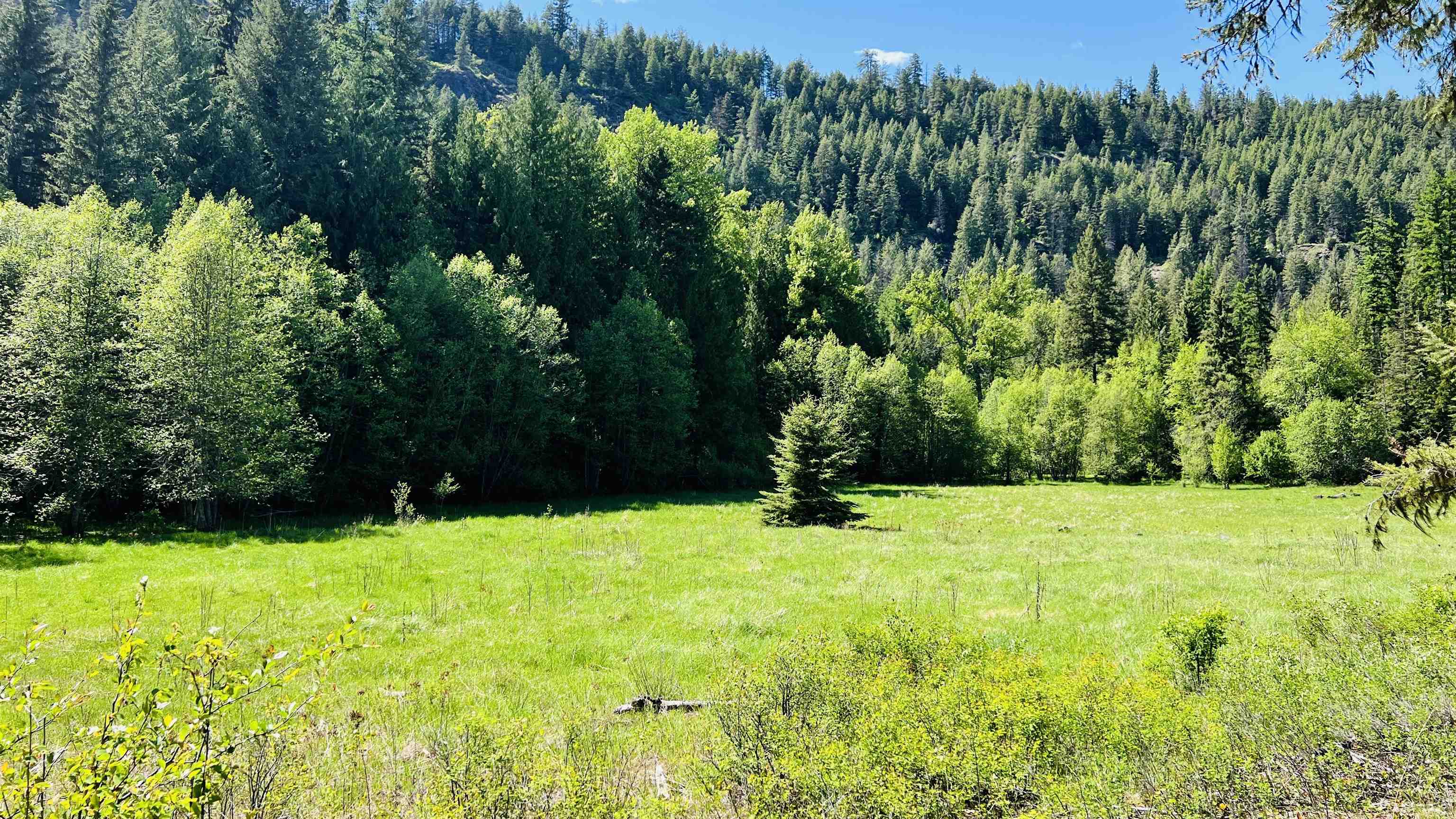 Nka Nka Phalon Lake Road Evans, WA 99126 - Photo 22 of 50