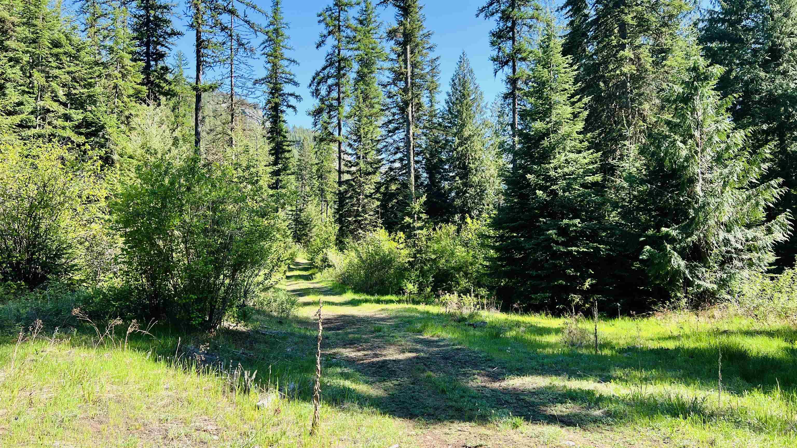 Nka Nka Phalon Lake Road Evans, WA 99126 - Photo 24 of 50