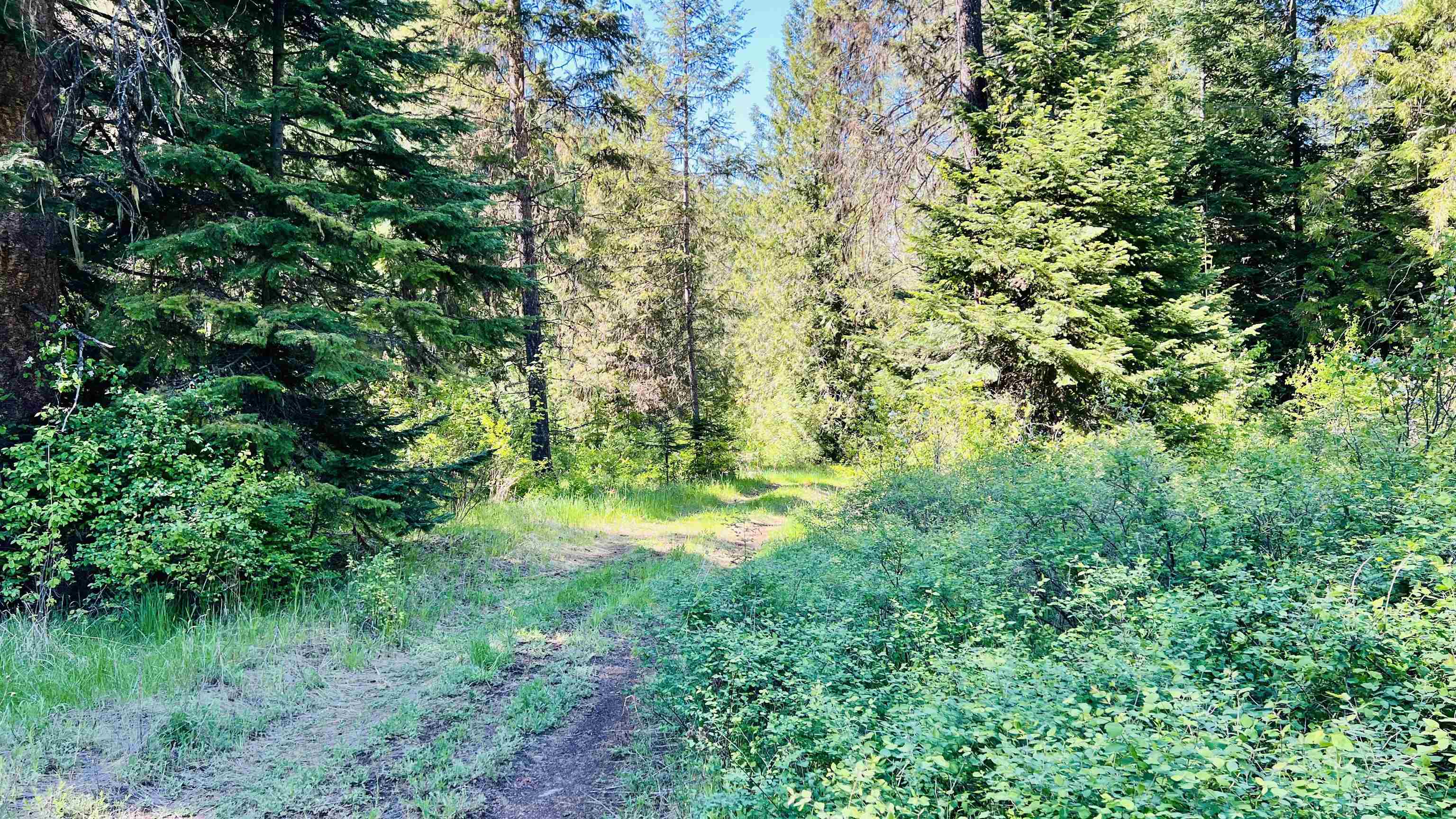 Nka Nka Phalon Lake Road Evans, WA 99126 - Photo 25 of 50