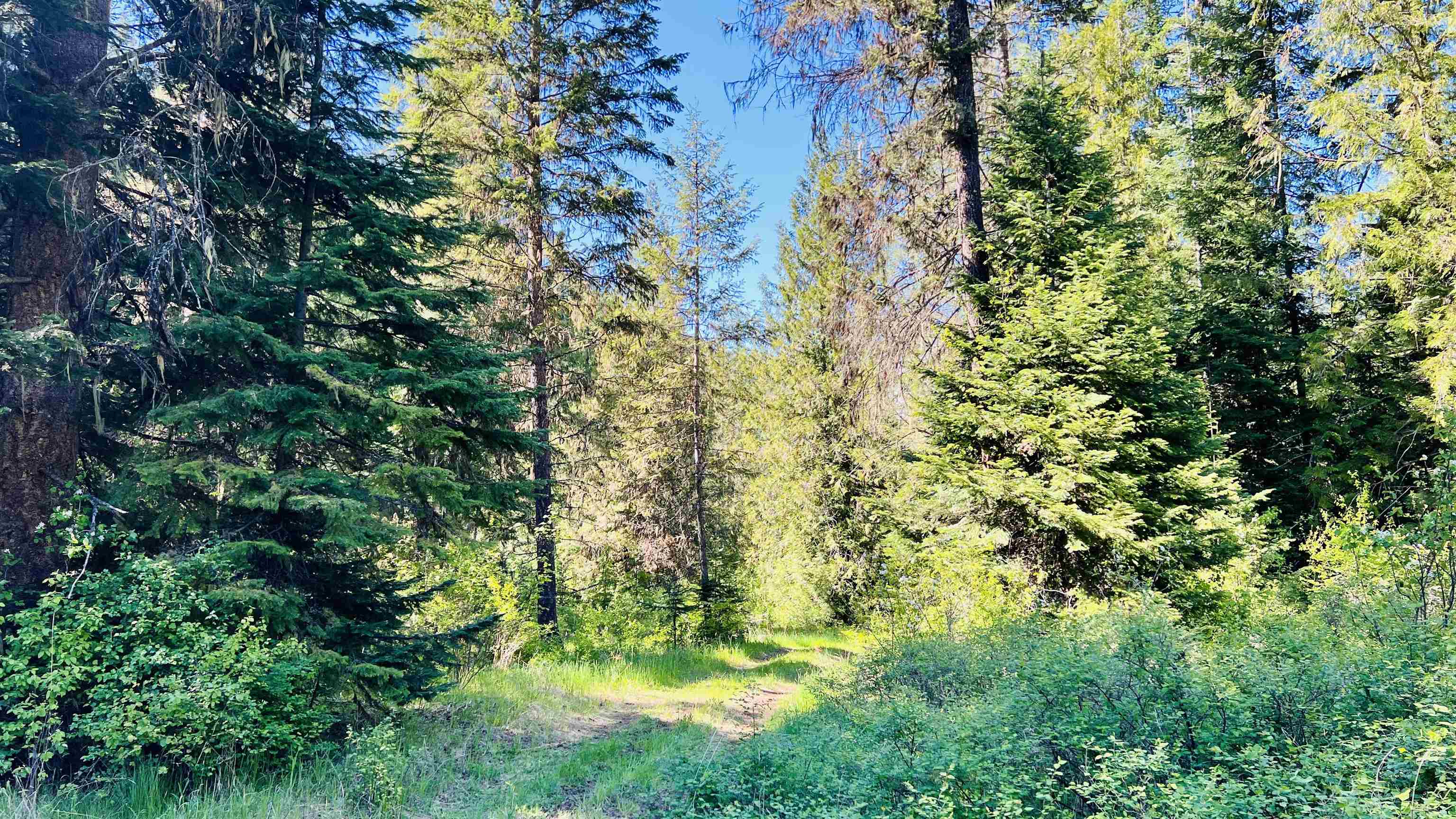 Nka Nka Phalon Lake Road Evans, WA 99126 - Photo 26 of 50