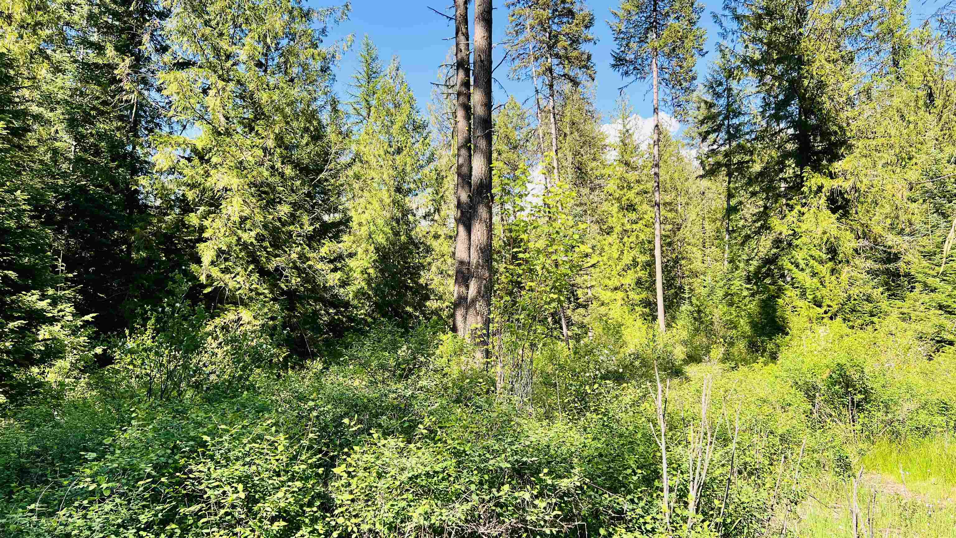 Nka Nka Phalon Lake Road Evans, WA 99126 - Photo 27 of 50