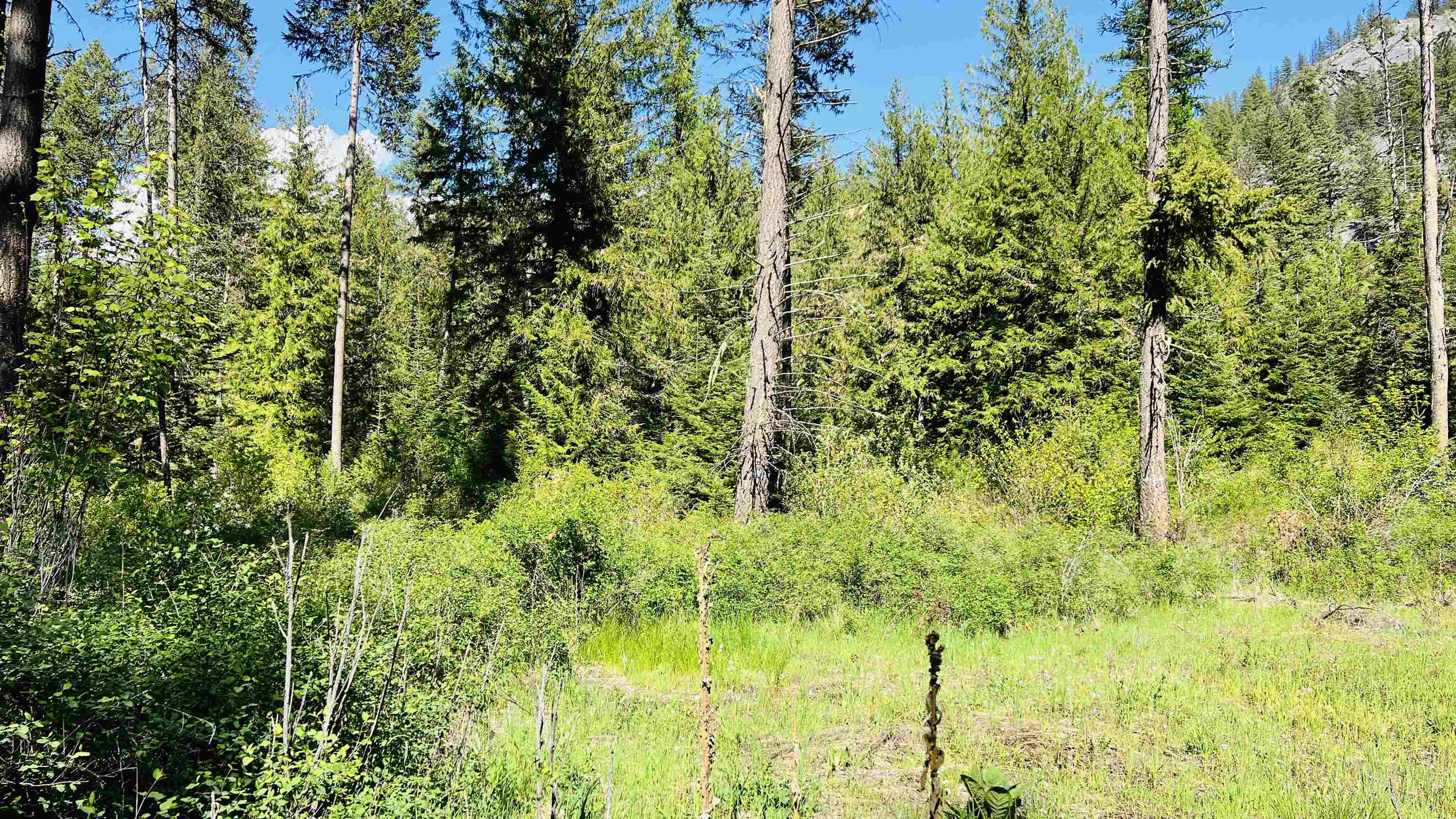 Nka Nka Phalon Lake Road Evans, WA 99126 - Photo 28 of 50