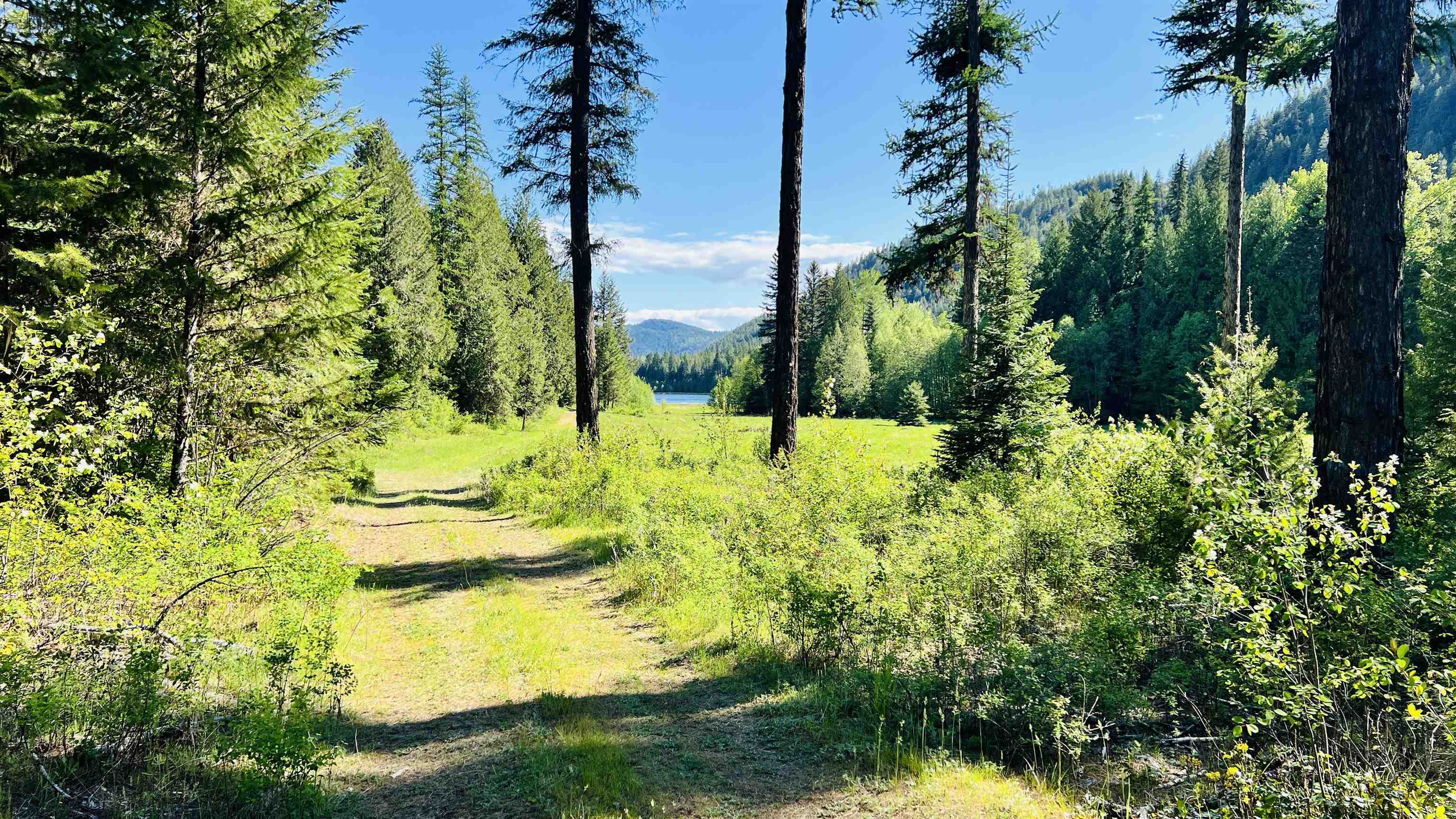 Nka Nka Phalon Lake Road Evans, WA 99126 - Photo 29 of 50