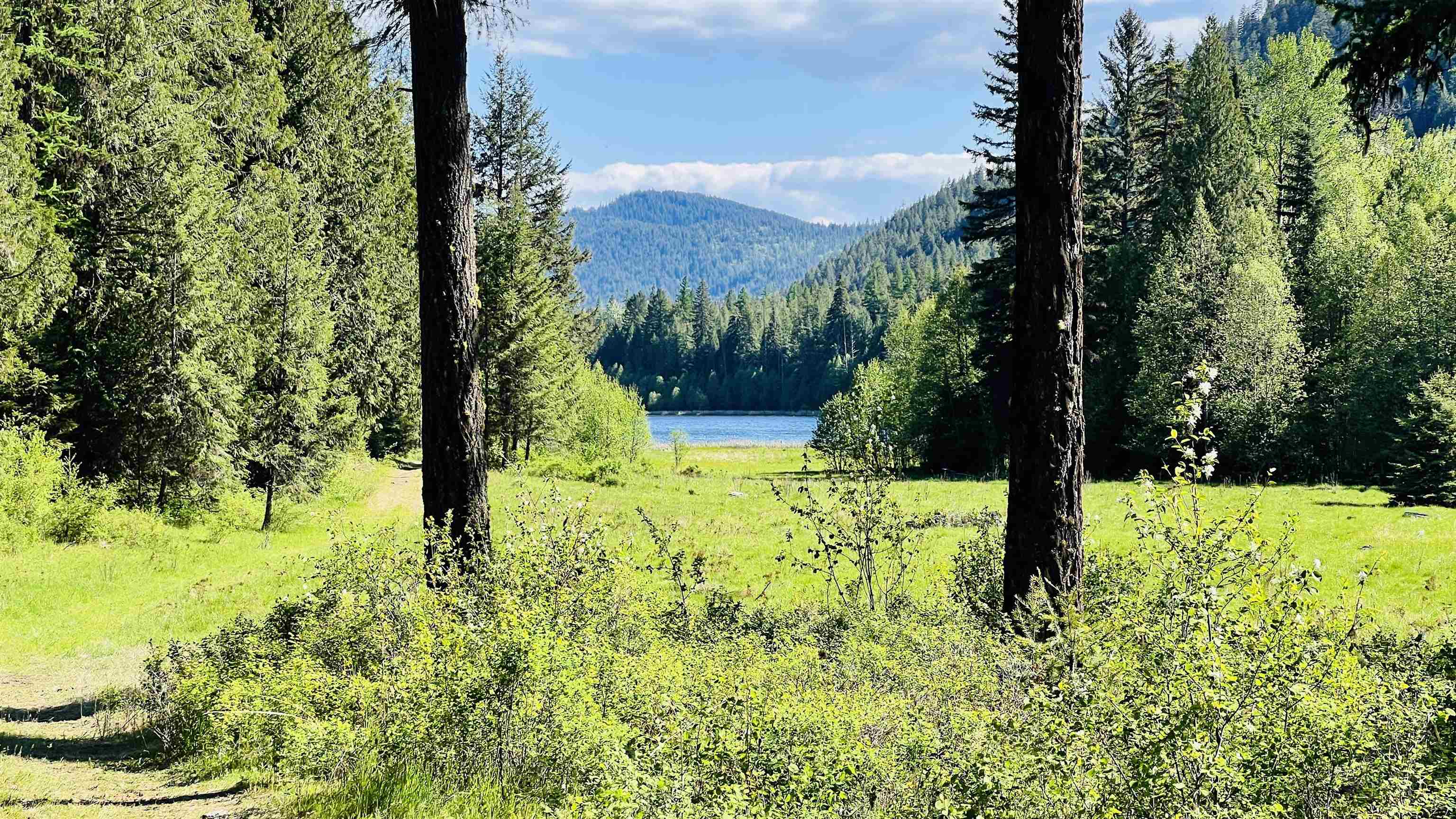 Nka Nka Phalon Lake Road Evans, WA 99126 - Photo 30 of 50