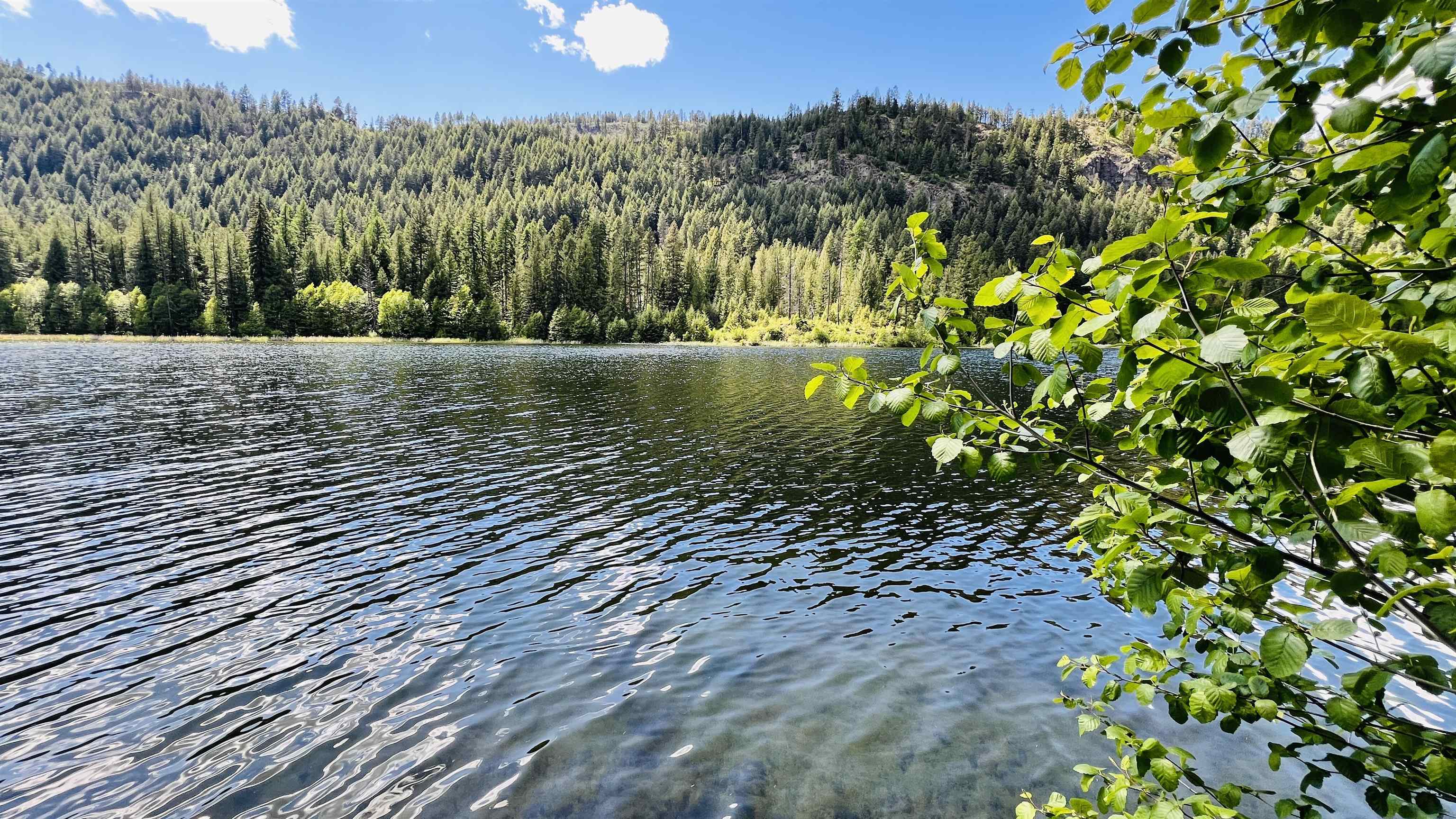 Nka Nka Phalon Lake Road Evans, WA 99126 - Photo 3 of 50