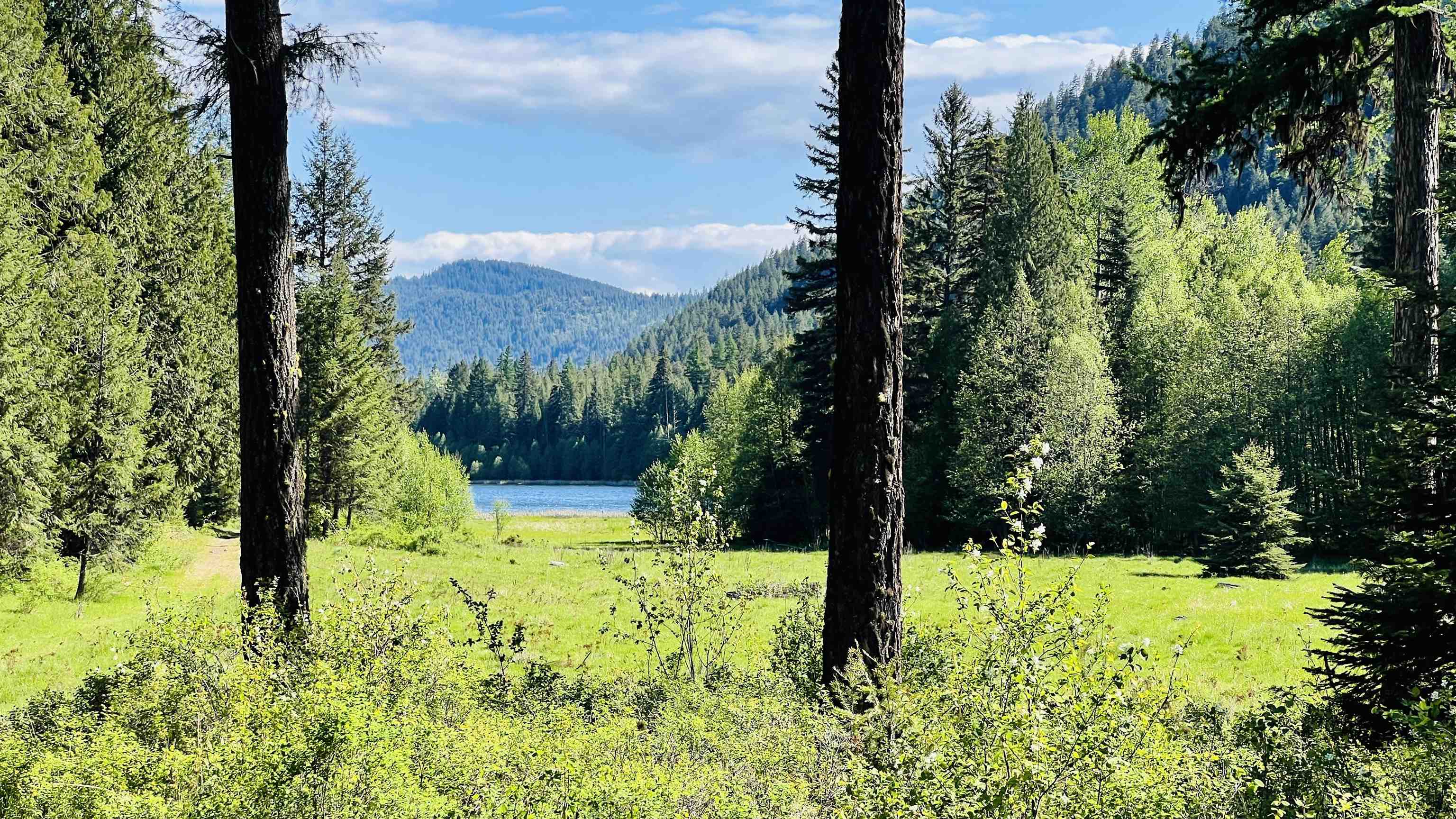 Nka Nka Phalon Lake Road Evans, WA 99126 - Photo 31 of 50