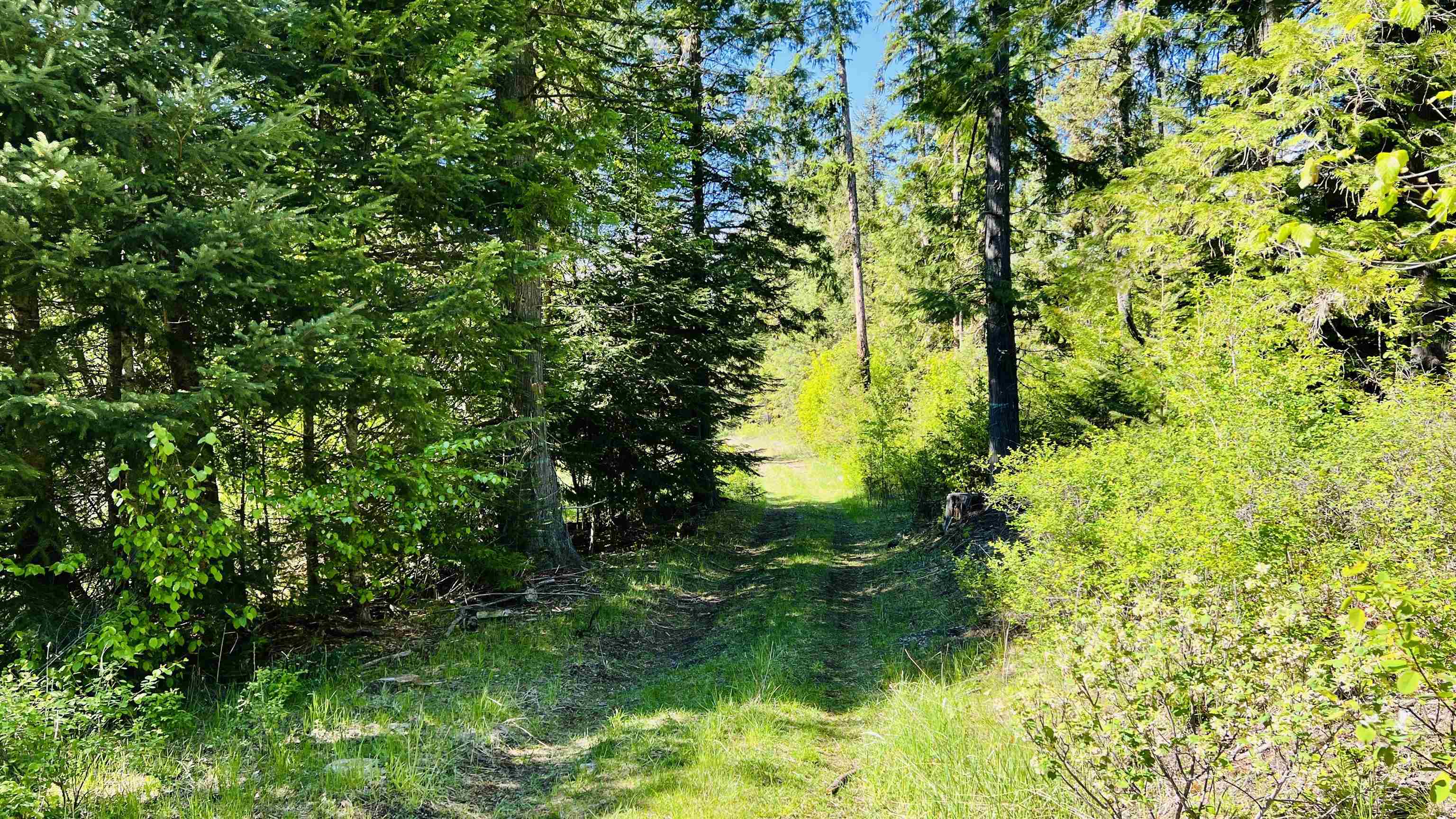 Nka Nka Phalon Lake Road Evans, WA 99126 - Photo 32 of 50