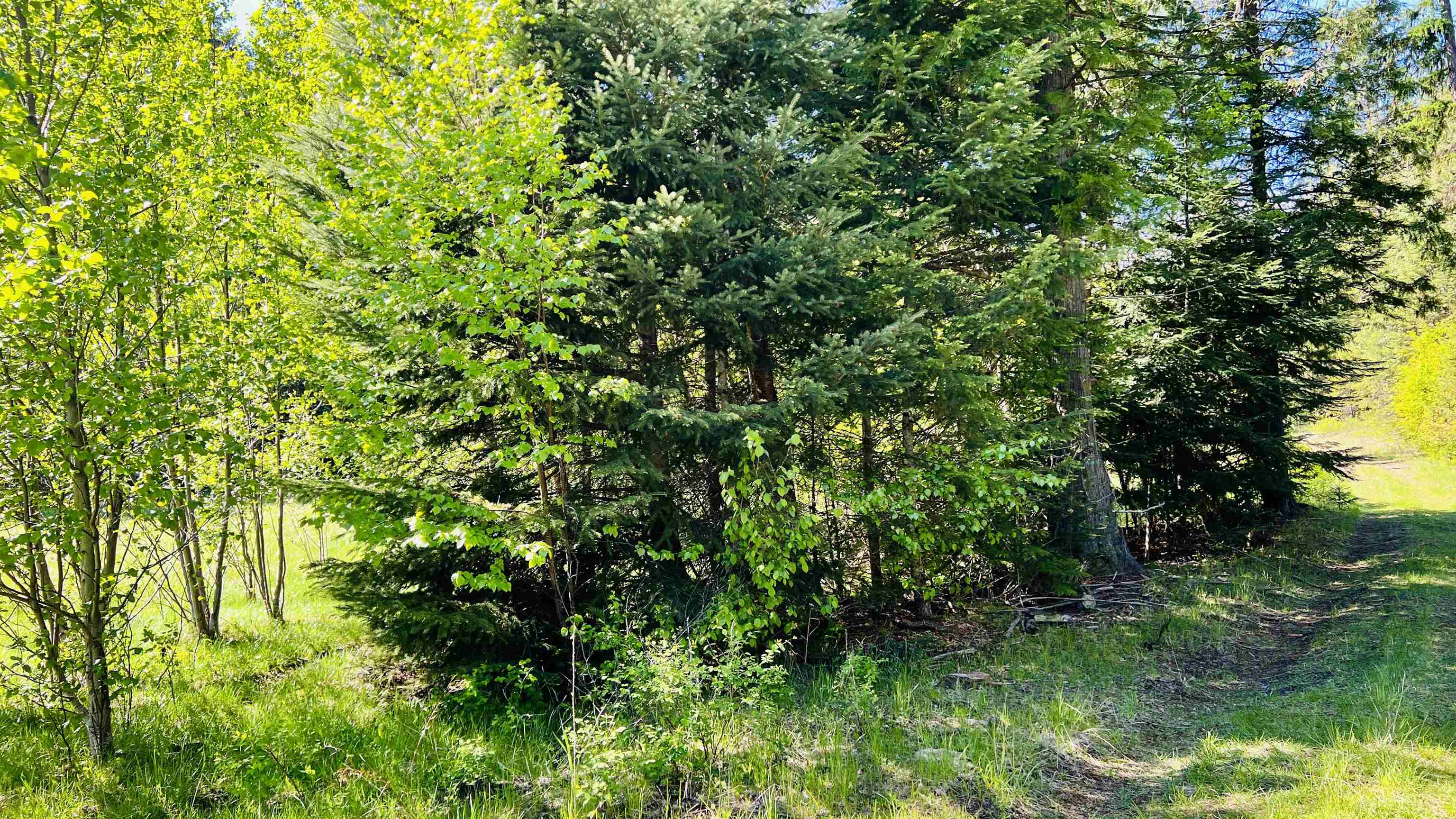 Nka Nka Phalon Lake Road Evans, WA 99126 - Photo 33 of 50