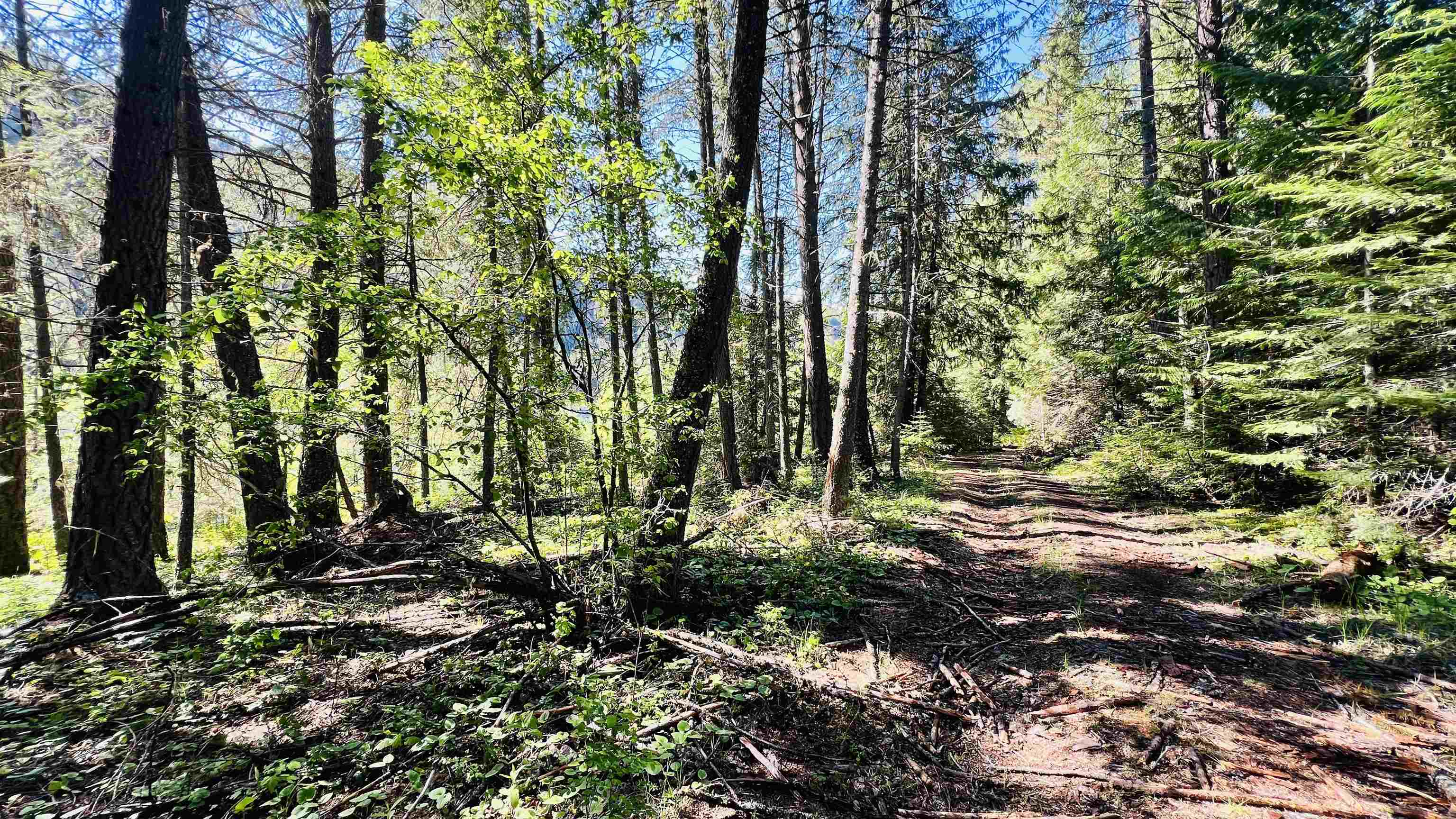 Nka Nka Phalon Lake Road Evans, WA 99126 - Photo 38 of 50