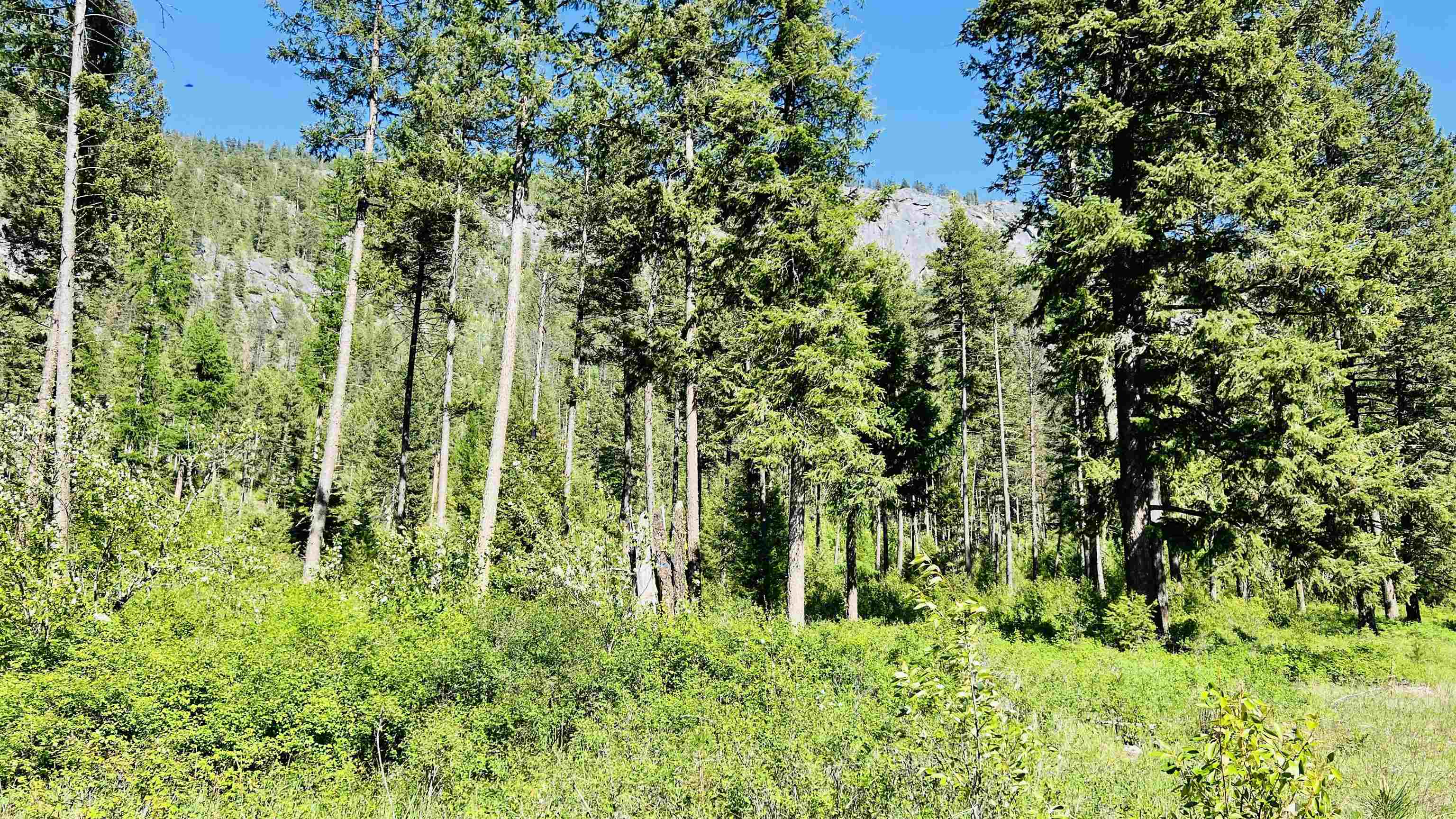 Nka Nka Phalon Lake Road Evans, WA 99126 - Photo 39 of 50