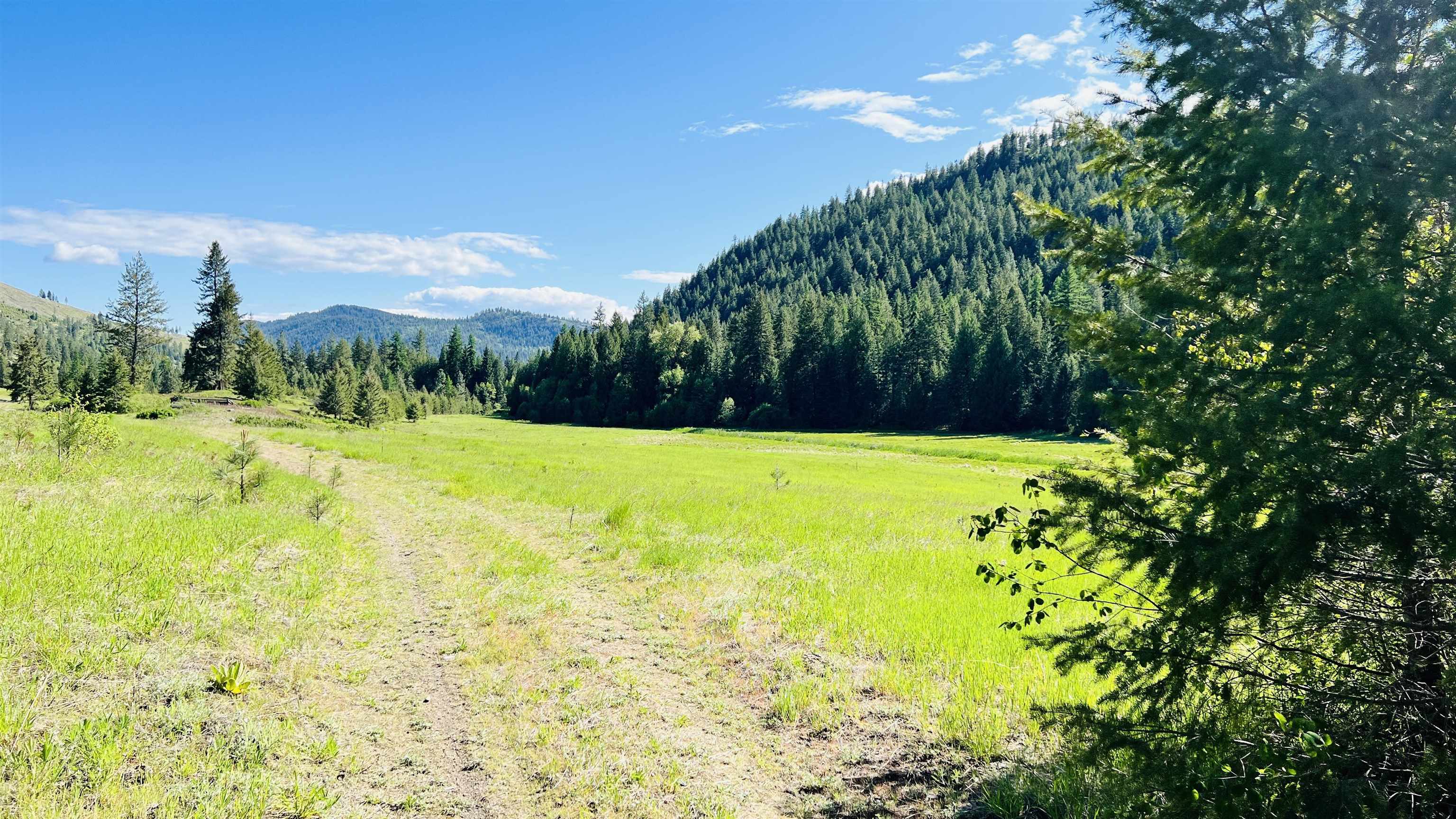 Nka Nka Phalon Lake Road Evans, WA 99126 - Photo 42 of 50