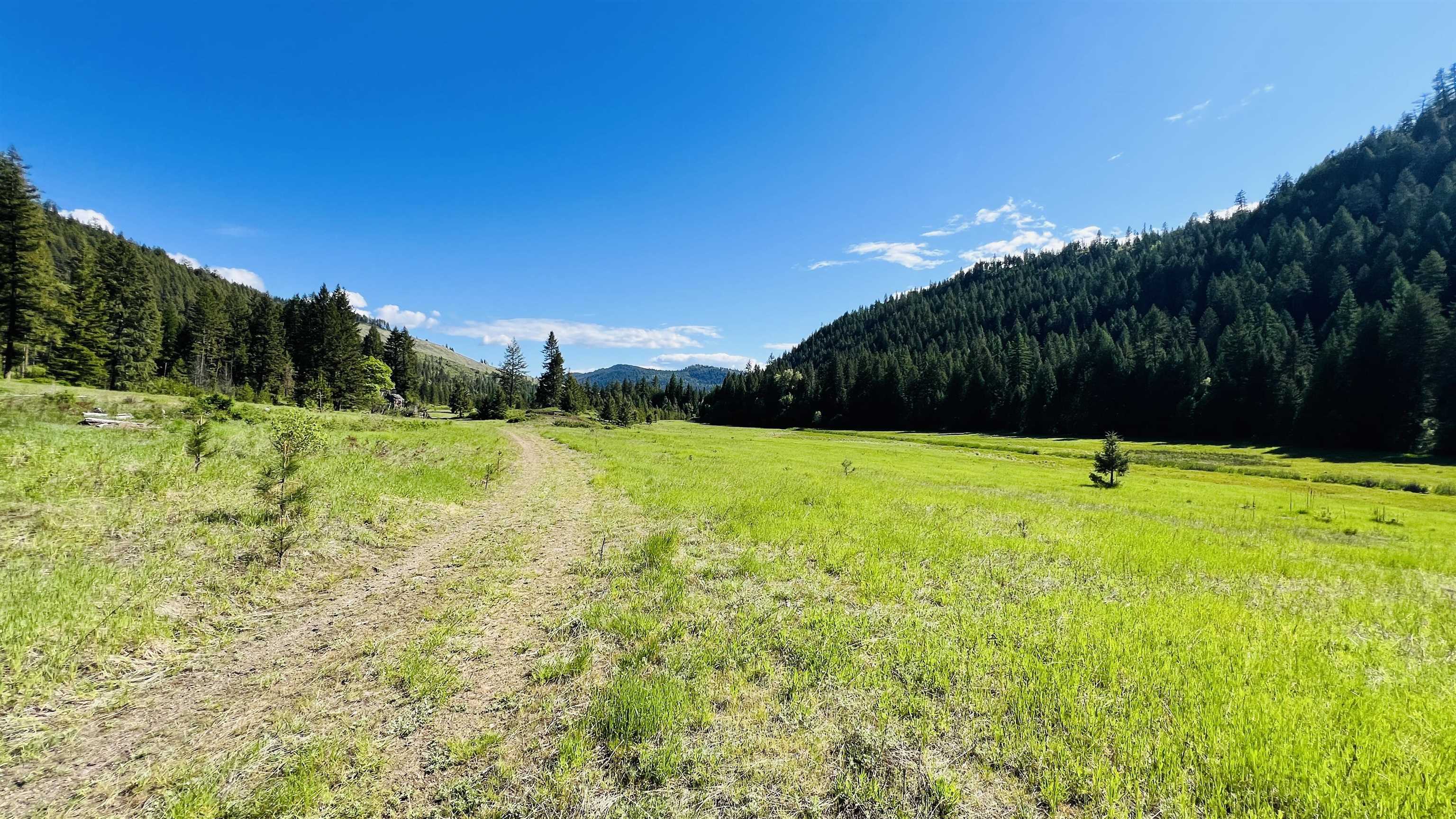 Nka Nka Phalon Lake Road Evans, WA 99126 - Photo 43 of 50