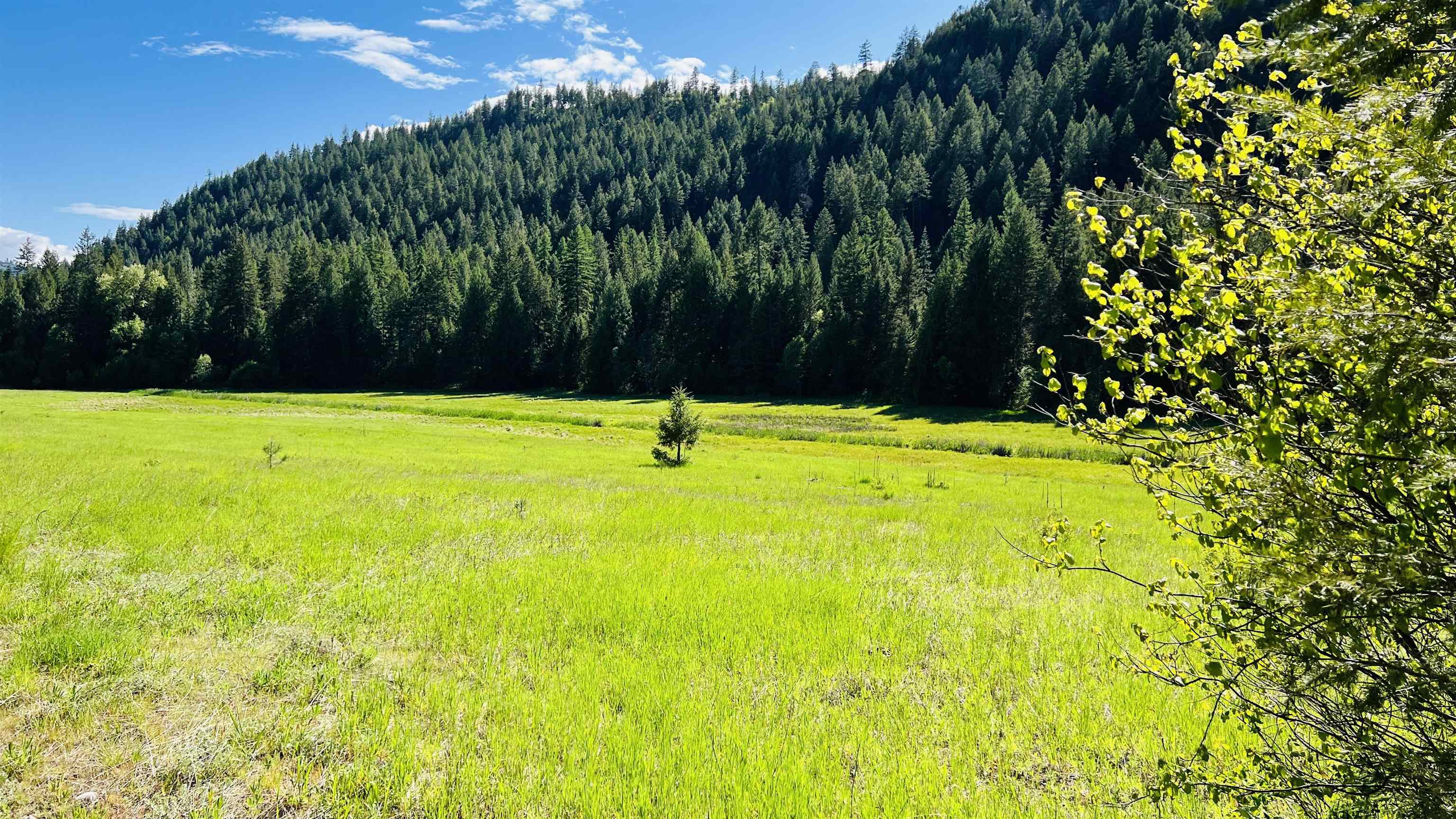 Nka Nka Phalon Lake Road Evans, WA 99126 - Photo 44 of 50