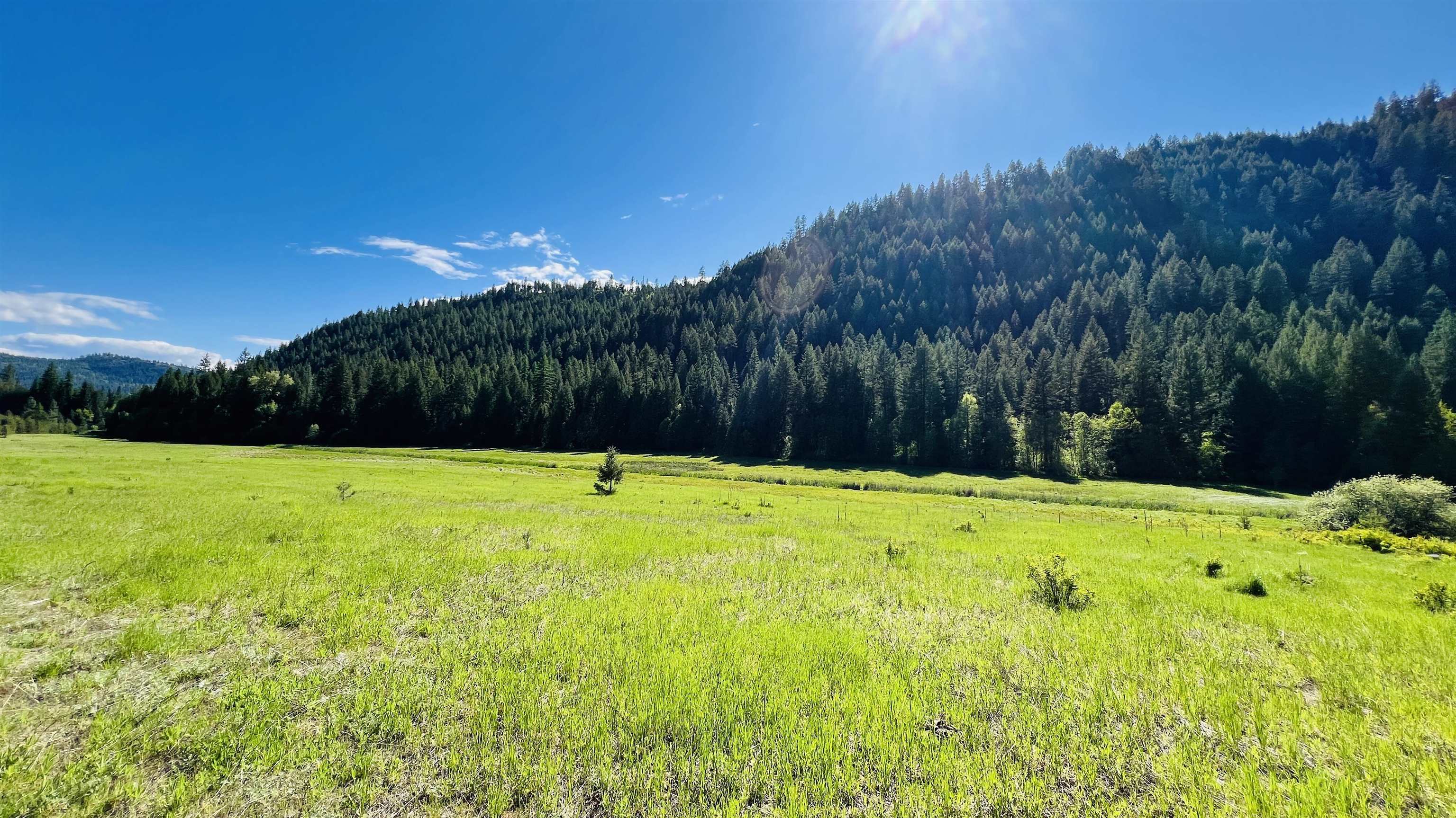 Nka Nka Phalon Lake Road Evans, WA 99126 - Photo 45 of 50