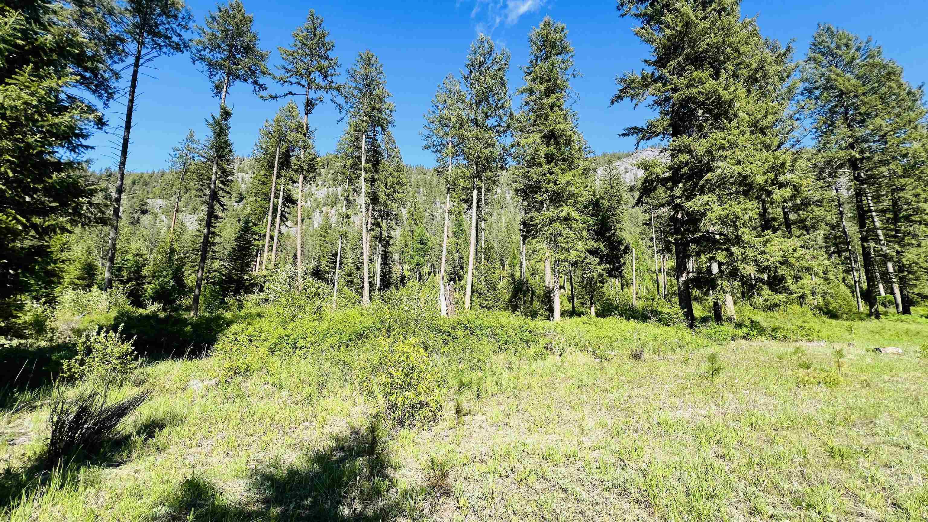 Nka Nka Phalon Lake Road Evans, WA 99126 - Photo 46 of 50