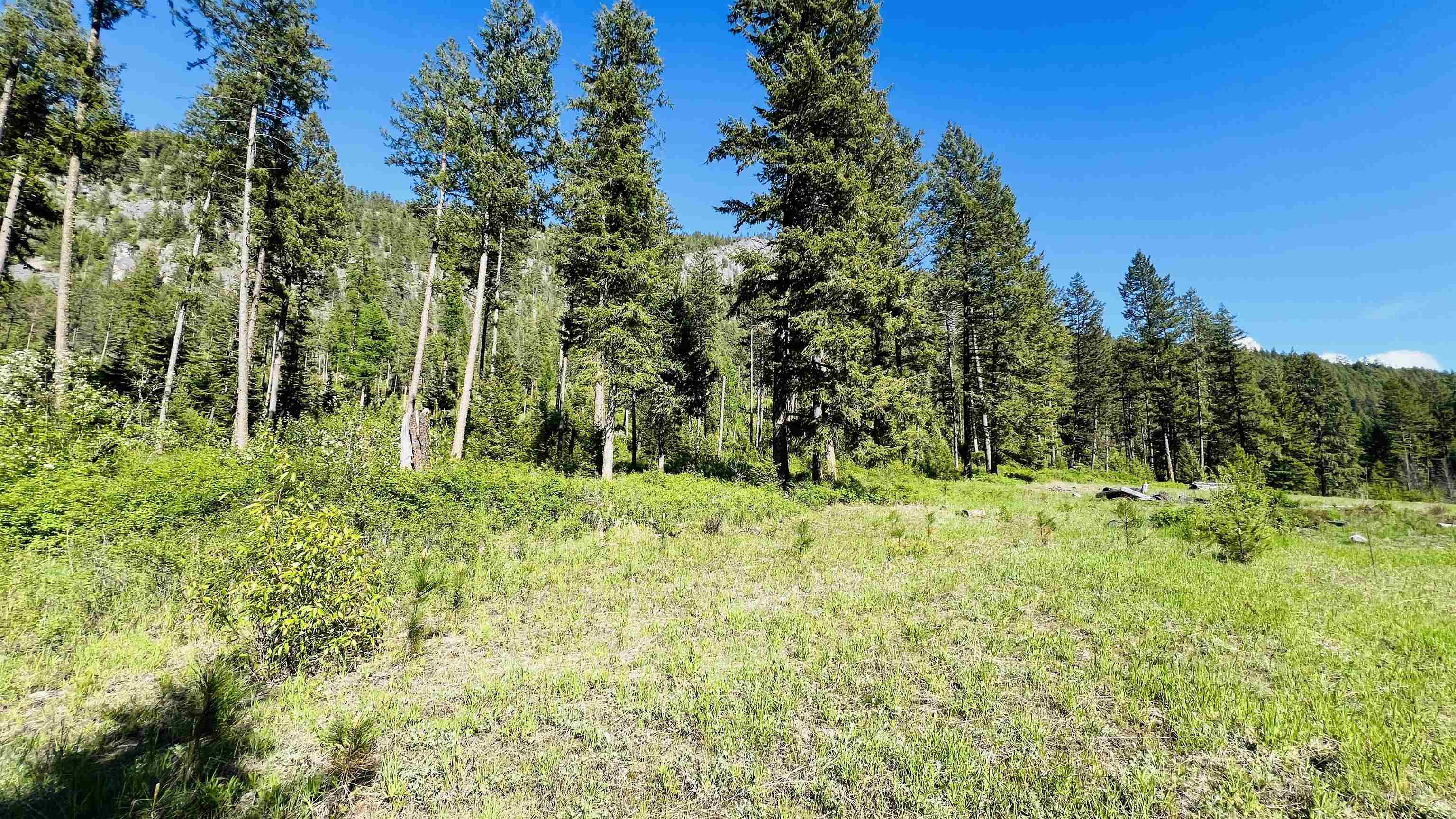 Nka Nka Phalon Lake Road Evans, WA 99126 - Photo 47 of 50