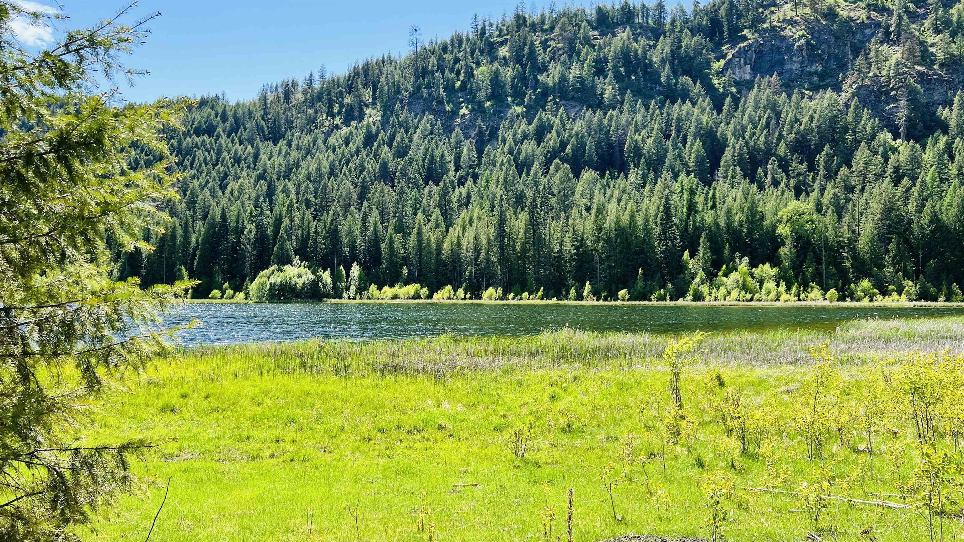 Nka Nka Phalon Lake Road Evans, WA 99126 - Photo 50 of 50