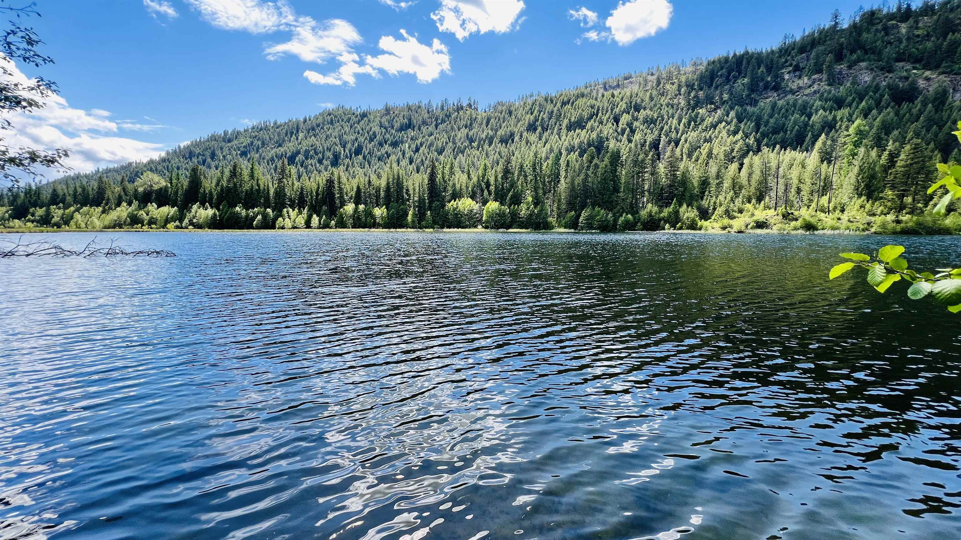 Nka Nka Phalon Lake Road Evans, WA 99126 - Photo 5 of 50