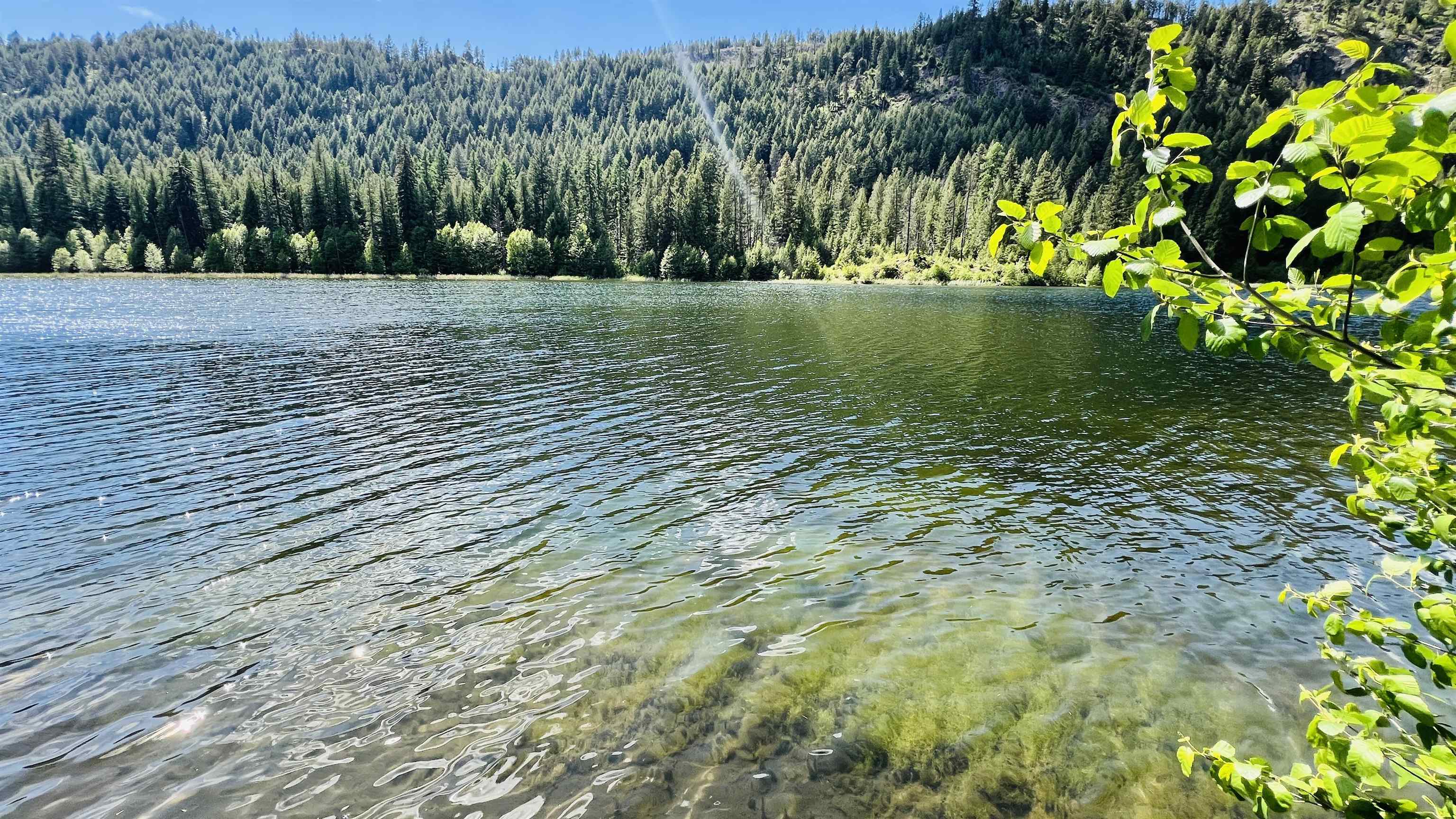 Nka Nka Phalon Lake Road Evans, WA 99126 - Photo 6 of 50