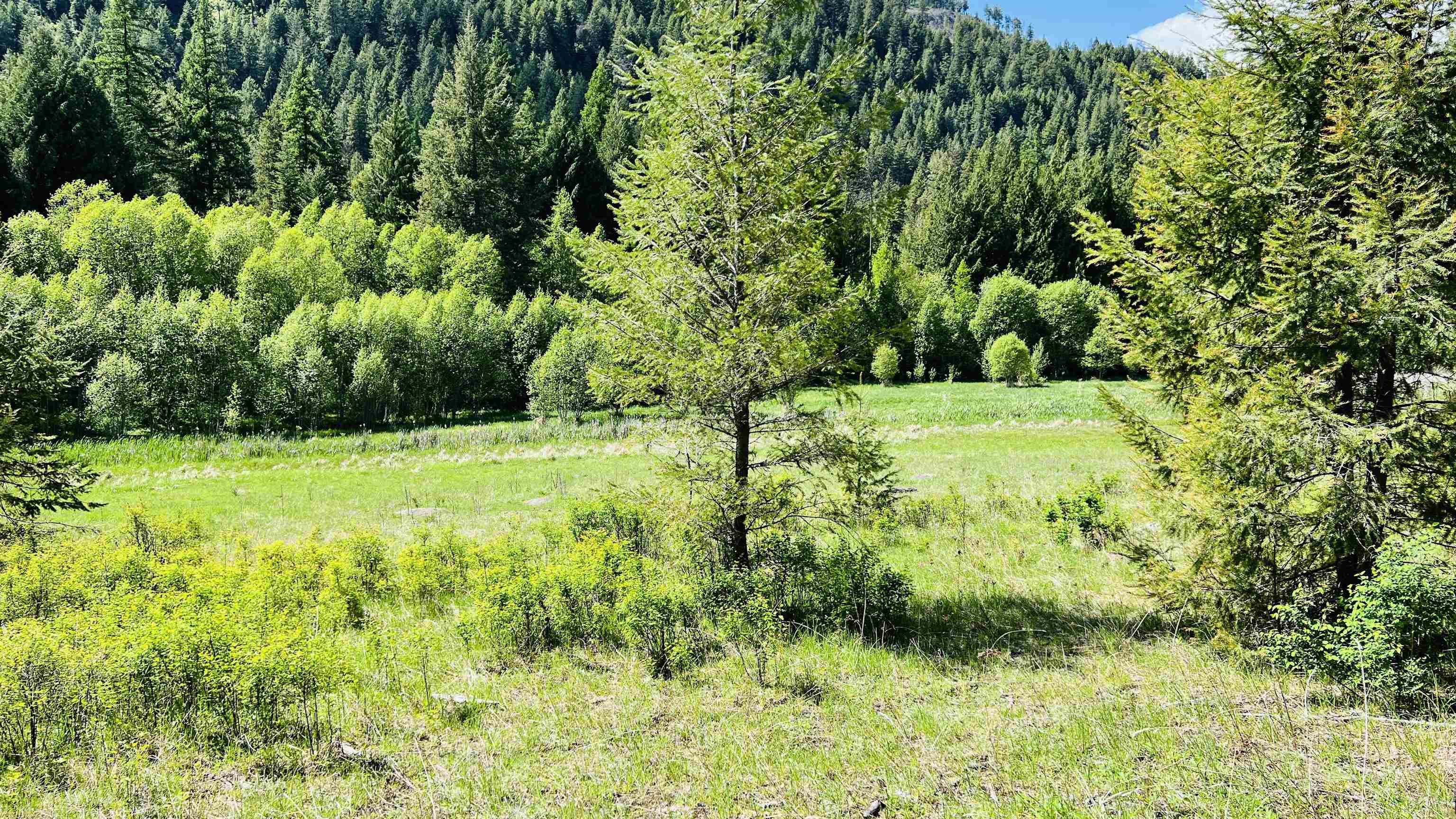 Nka Nka Phalon Lake Road Evans, WA 99126 - Photo 7 of 50