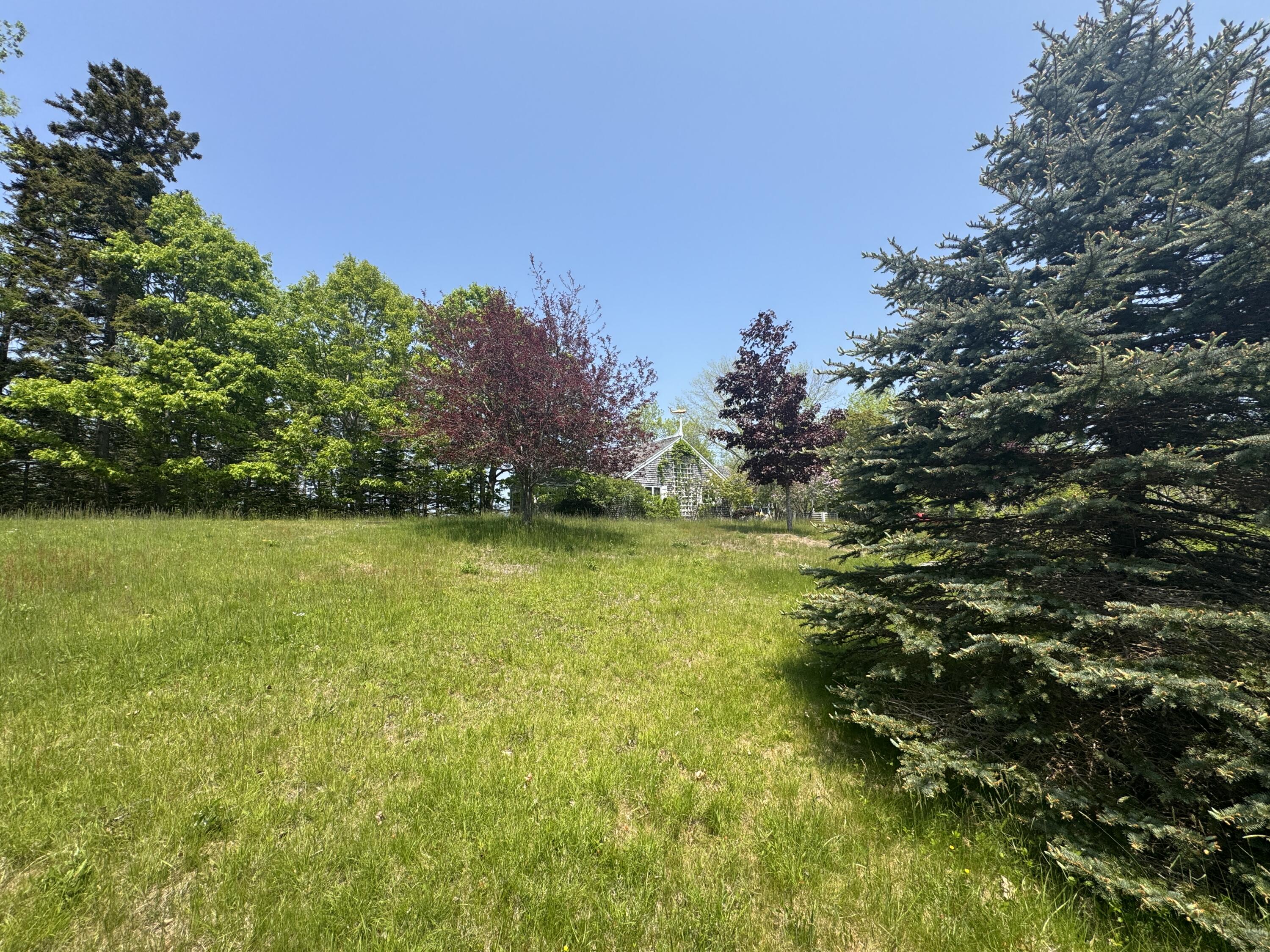 36 Wiegand Place Deer Isle, ME 04650 - Photo 15 of 92 IMG_5967