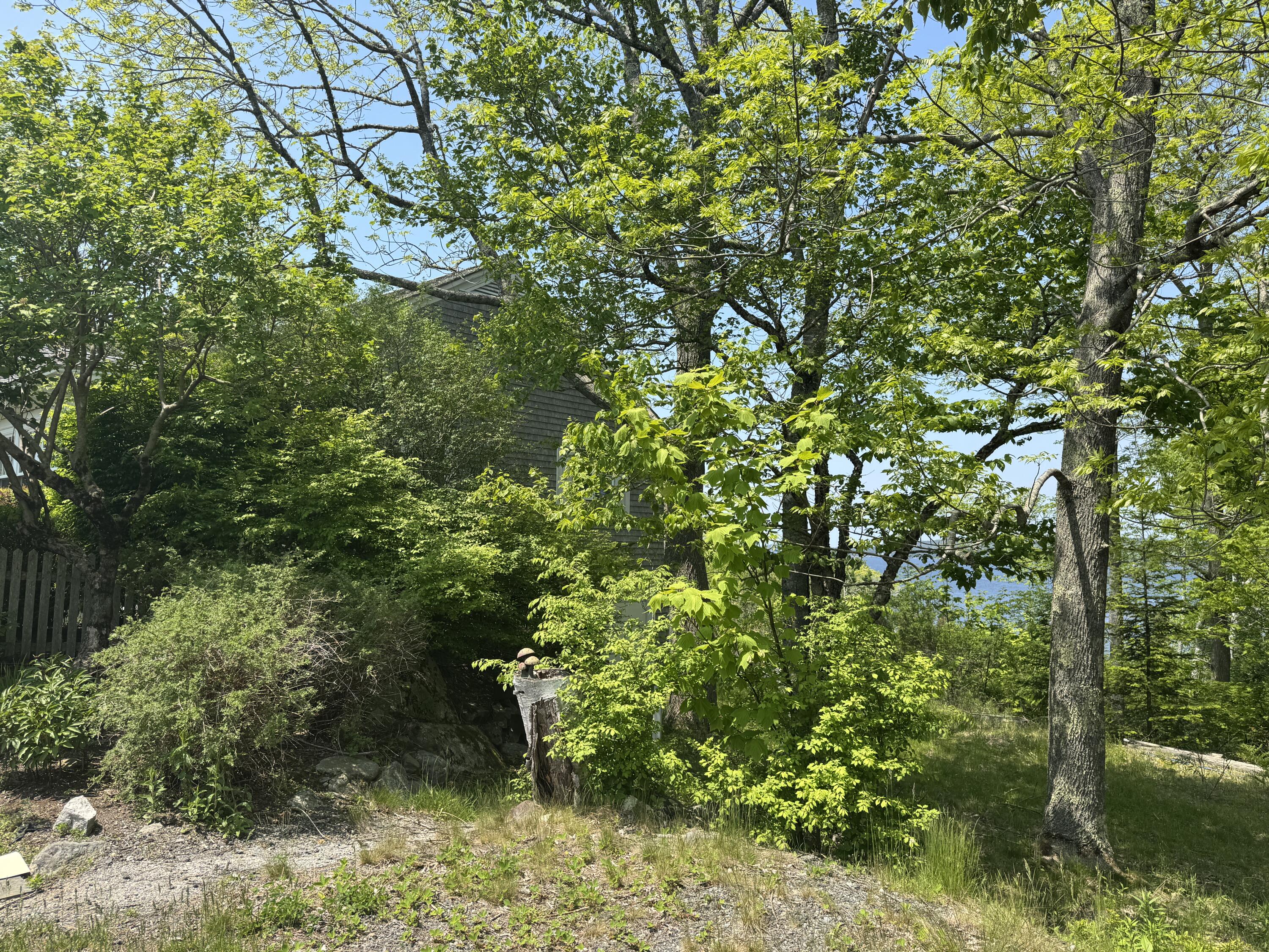 36 Wiegand Place Deer Isle, ME 04650 - Photo 17 of 92 IMG_5970