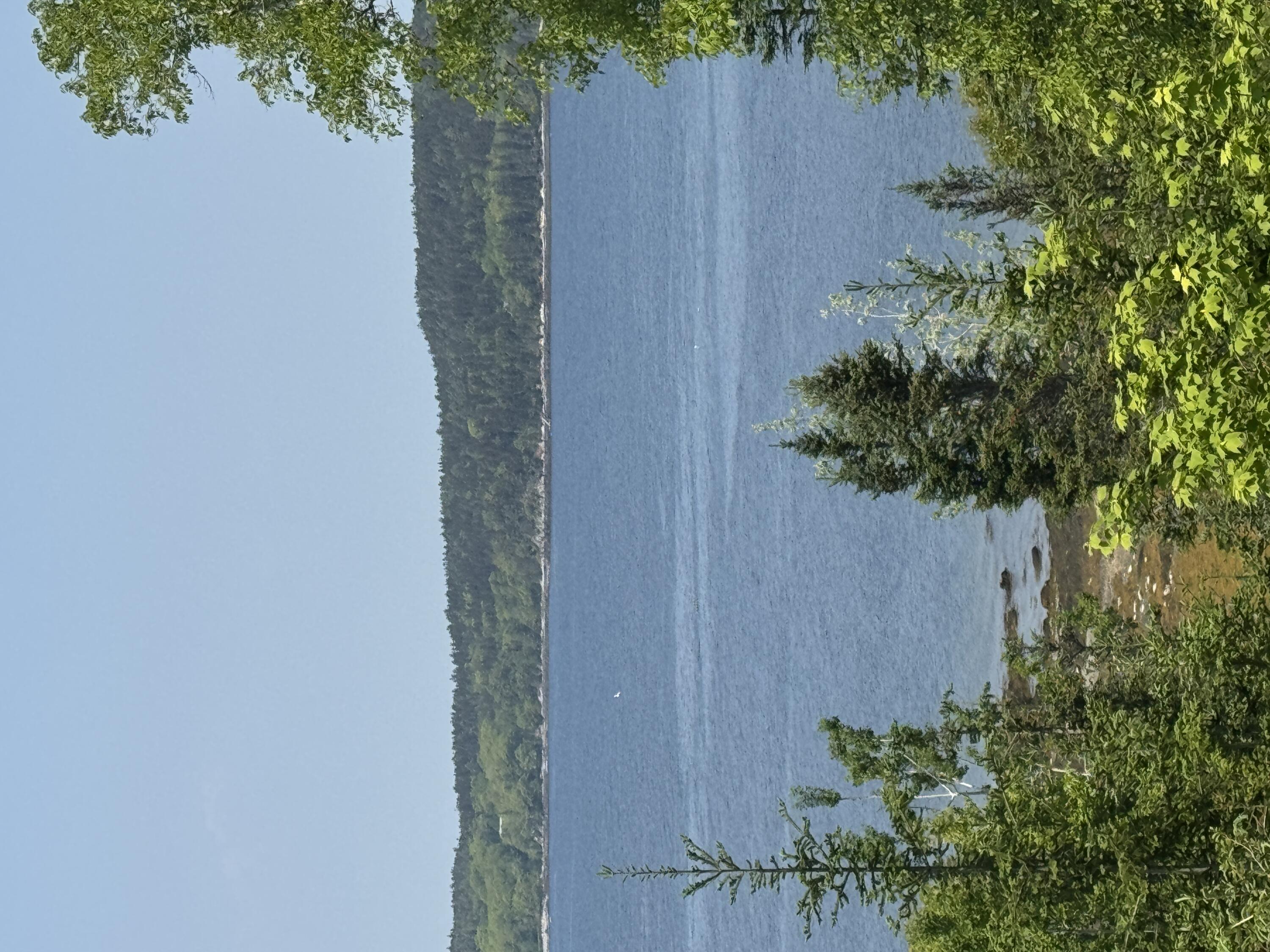 36 Wiegand Place Deer Isle, ME 04650 - Photo 22 of 92 IMG_5975