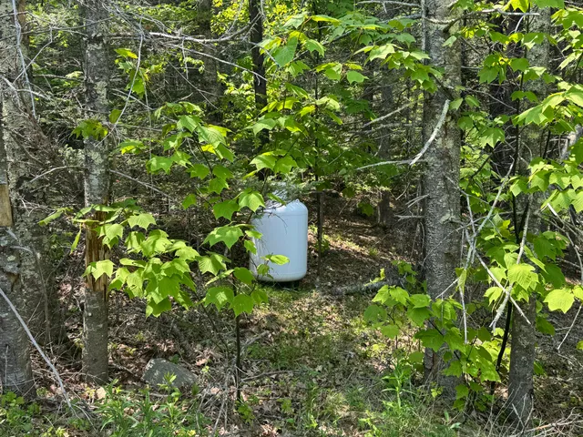 $1,495,000 | 36 Wiegand Place, Deer Isle, ME 04650