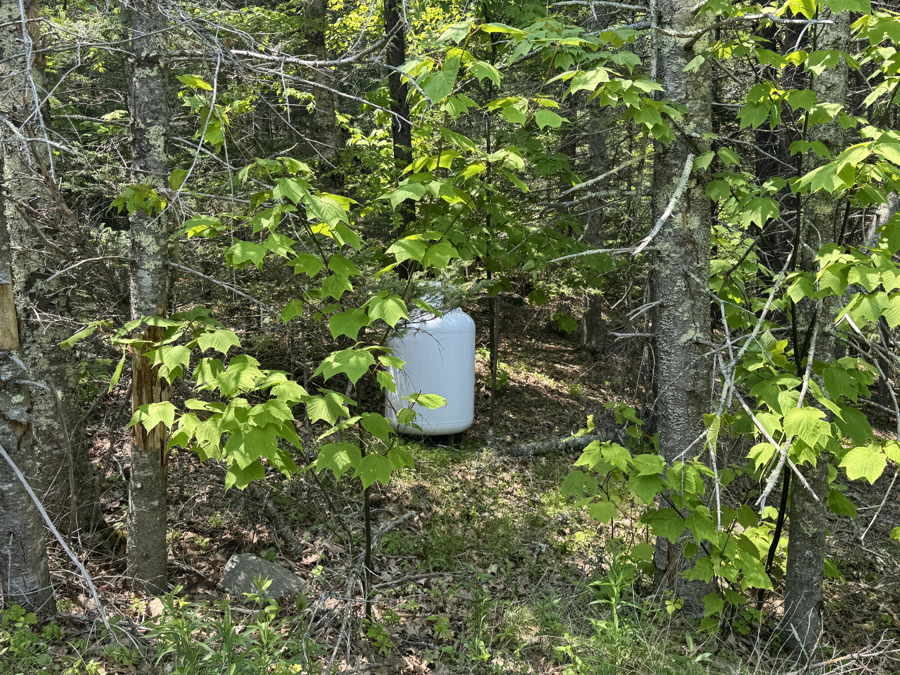 36 Wiegand Place Deer Isle, ME 04650 - Photo 6 of 92 IMG_5958