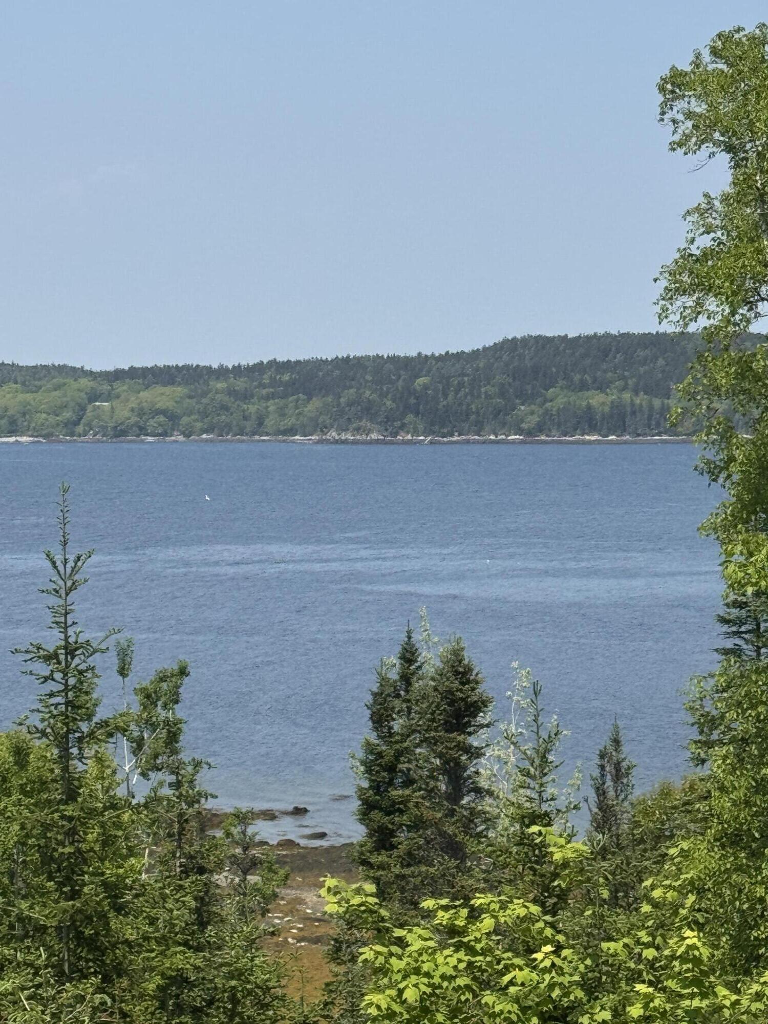 36 Wiegand Place Deer Isle, ME 04650 - Photo 9 of 67 IMG_5975