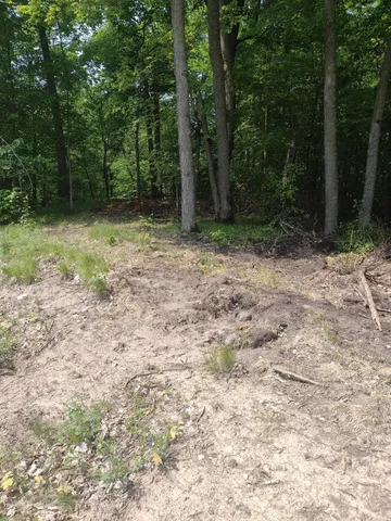 $50,000 | Lot 8-block Crystal Beach Road, Pelican Rapids, MN 56572