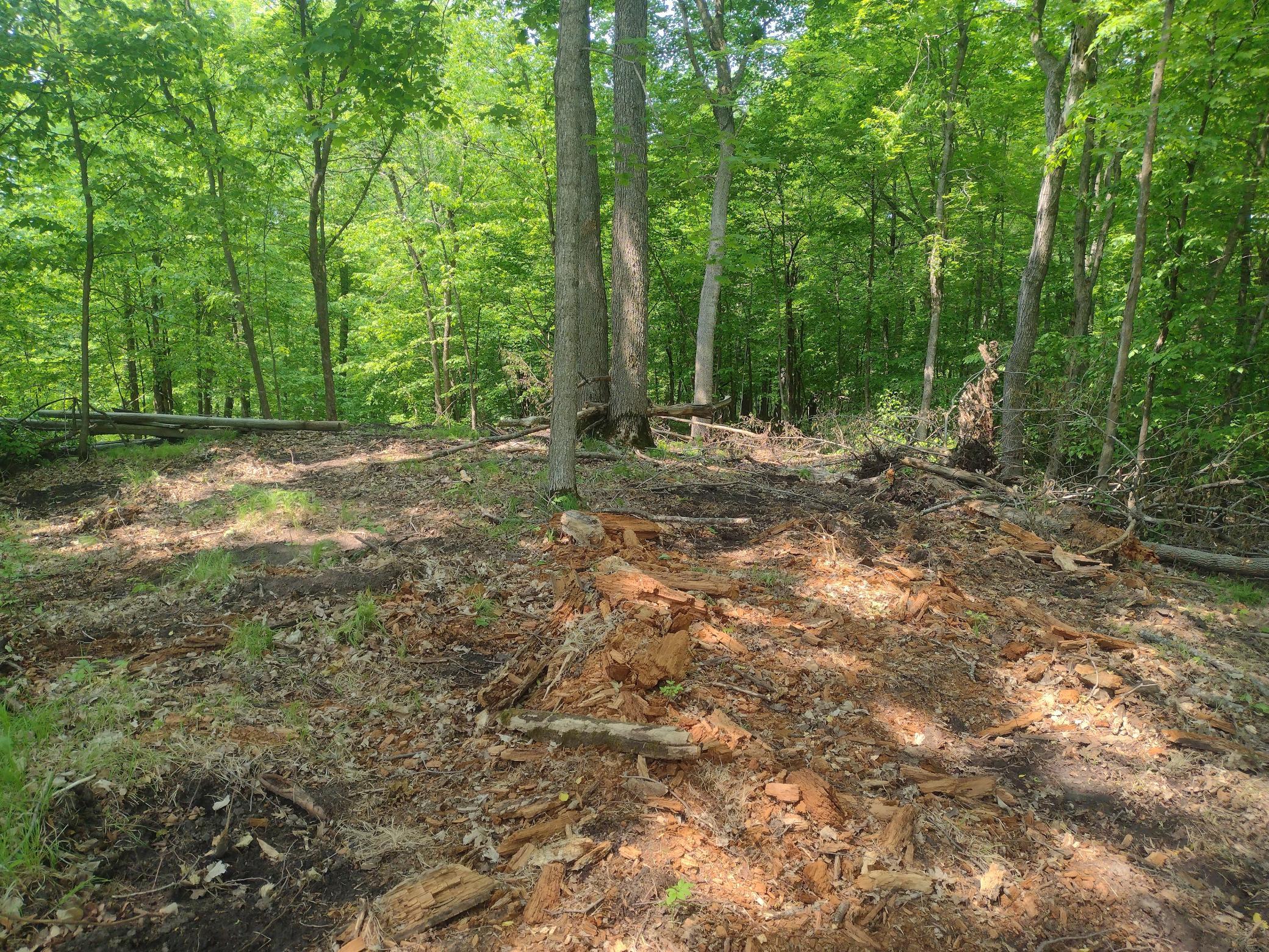 Lot 8-block Crystal Beach Road Pelican Rapids, MN 56572 - Photo 5 of 6