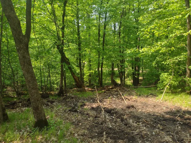$50,000 | Lot 8-block Crystal Beach Road, Pelican Rapids, MN 56572