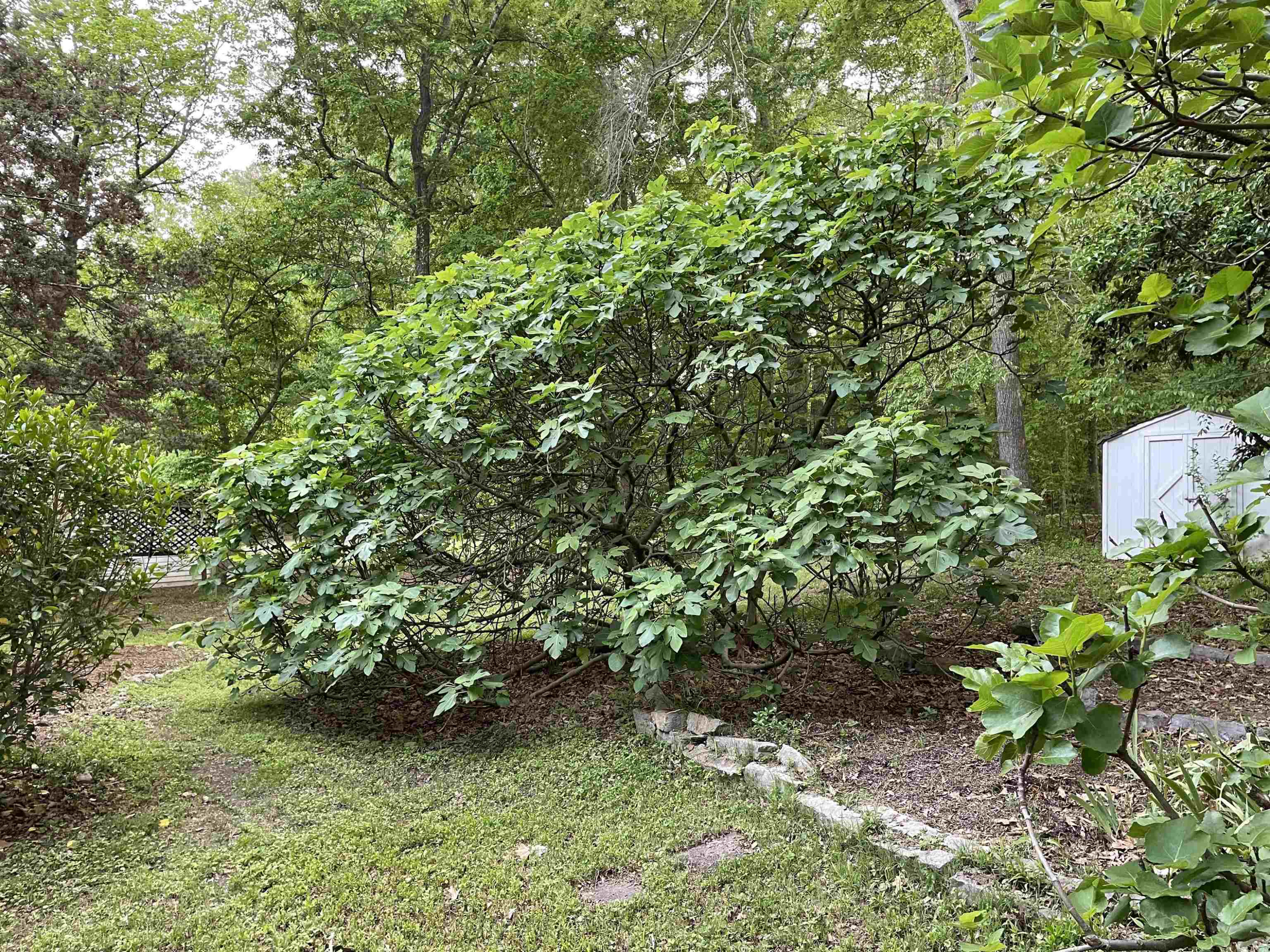 5406 Middleton Road Durham, NC 27713 - Photo 5 of 35 Photo 5