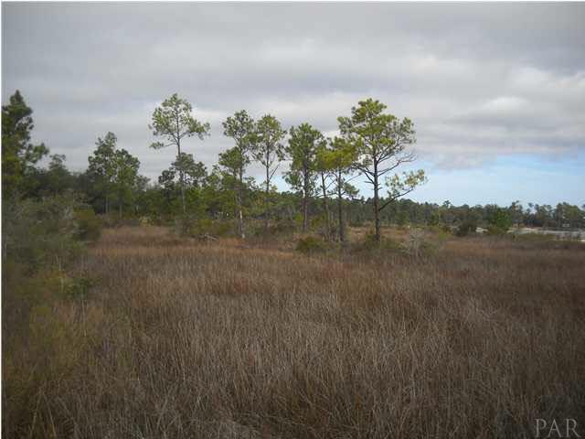 6801 Leepard Road Milton, FL 32583 - Photo 3 of 6 Gallery Image 3