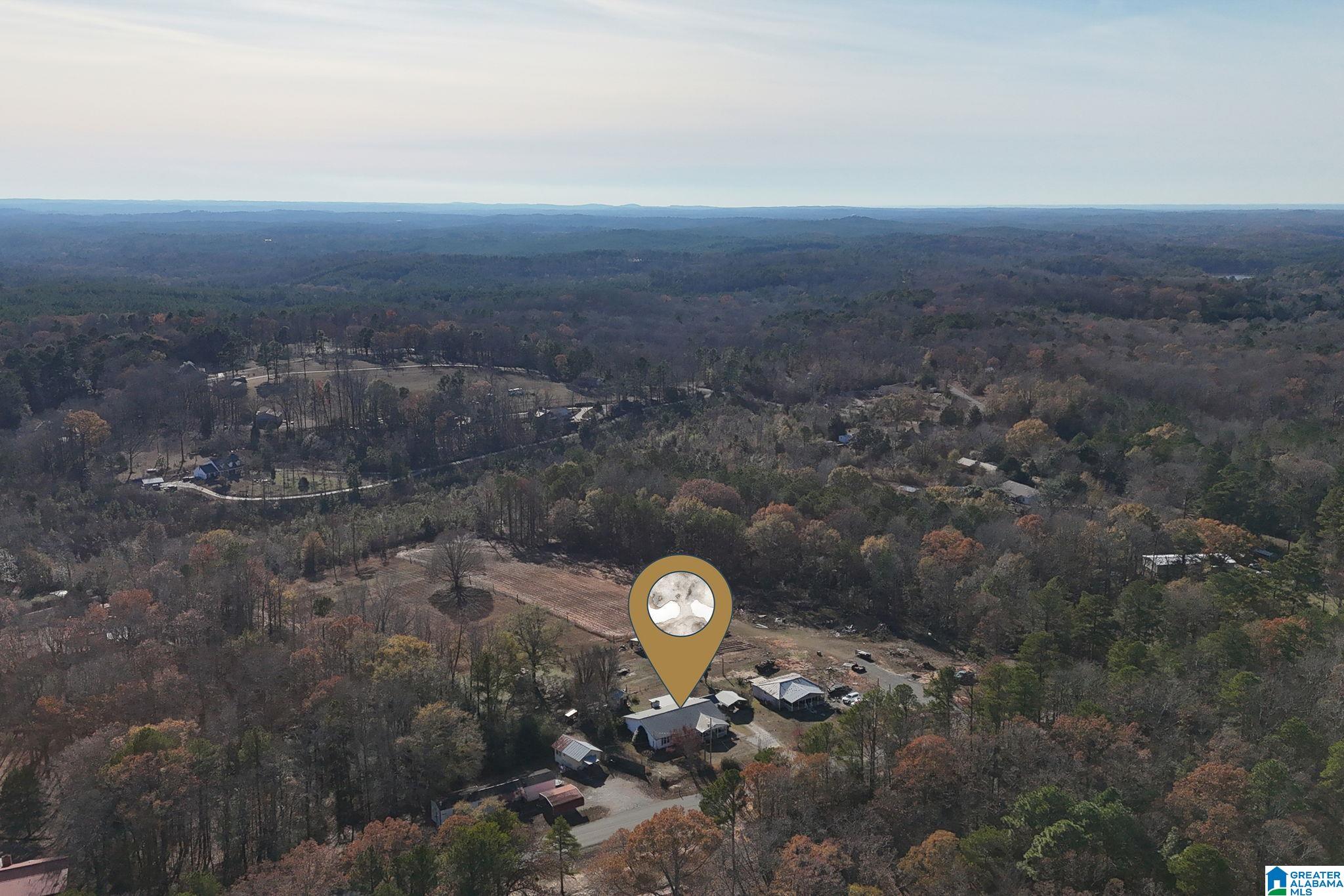 14365 Wire Road Cottondale, AL 35453 - Photo 42 of 46