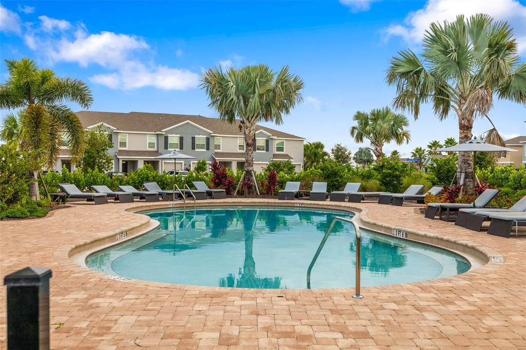 17436 Haysack Terrace Bradenton, FL 34211 - Photo 37 of 53 a view of a swimming pool with a lounge chairs