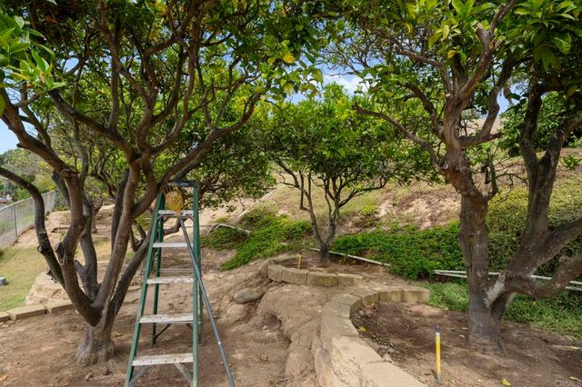 $3,900,000 | 6301 Castejon Drive, La Jolla, CA 92037