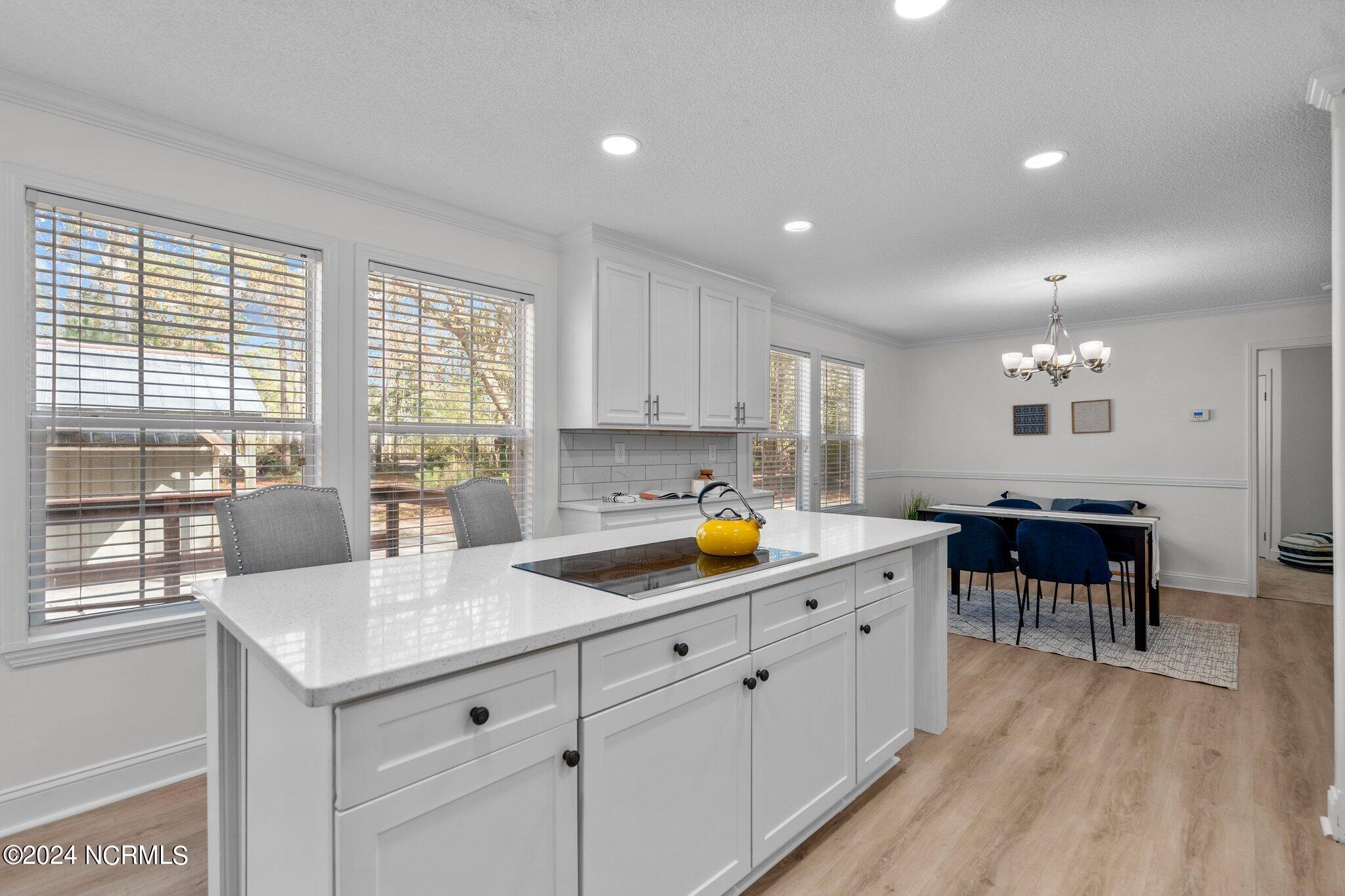 981 Sloop Point Loop Road Hampstead, NC 28443 - Photo 19 of 53 22-web-or-mls-DSC01118