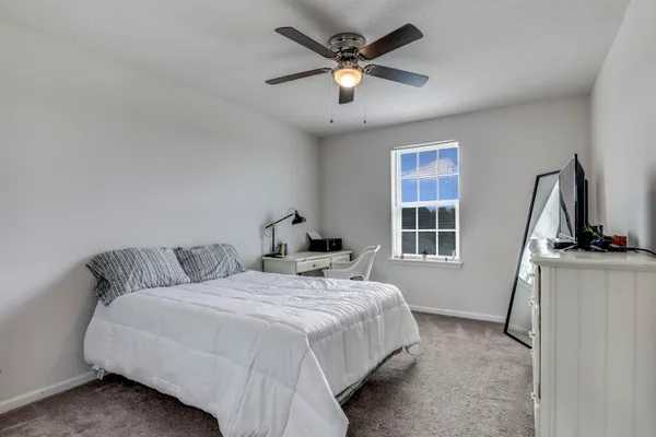 a view of a lake with a palm tree