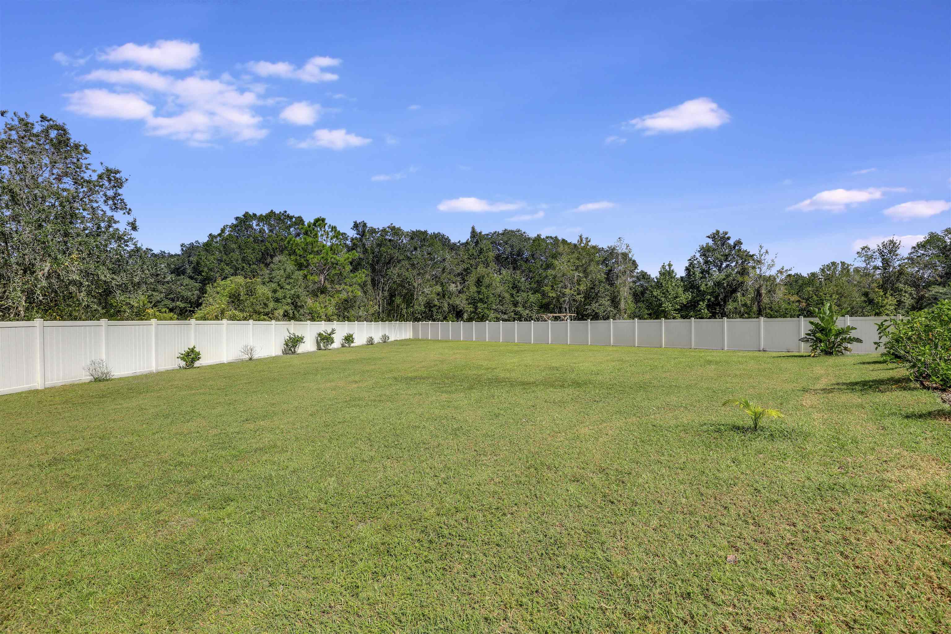 93 Firefly Trace St. Augustine, FL 32092 - Photo 54 of 76 a view of a field with an trees in the background