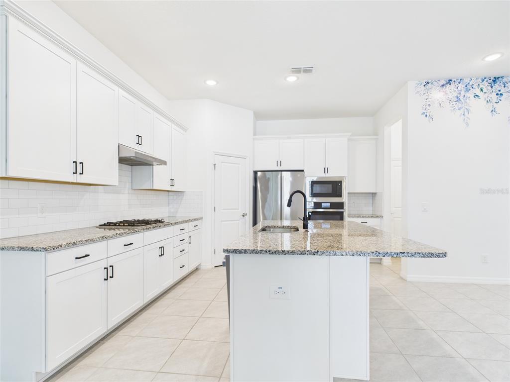 2033 Emerald Springs Drive Apopka, FL 32712 - Photo 13 of 49 a kitchen with granite countertop a sink and white cabinets