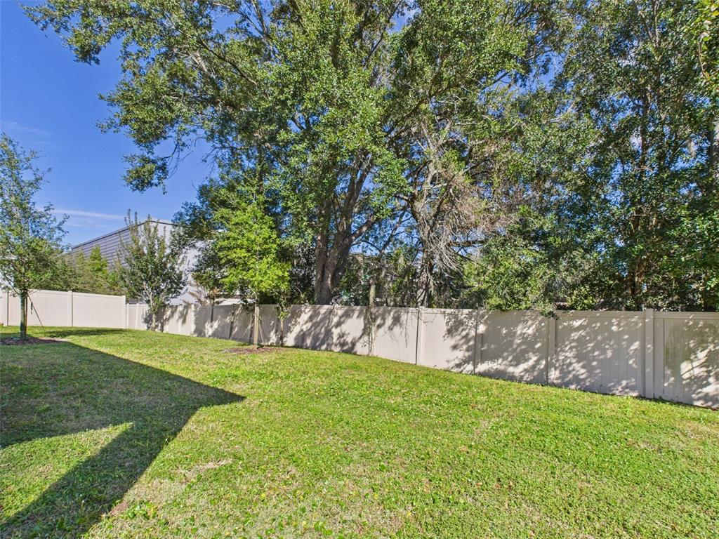 2033 Emerald Springs Drive Apopka, FL 32712 - Photo 44 of 49 a view of a yard with a tree