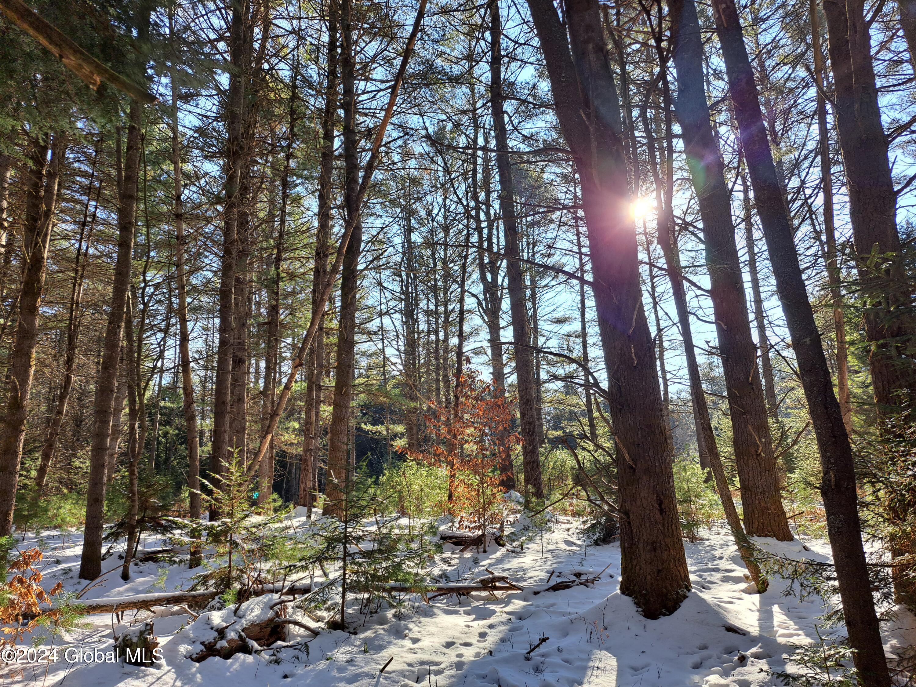 01 Sunshine on Snow